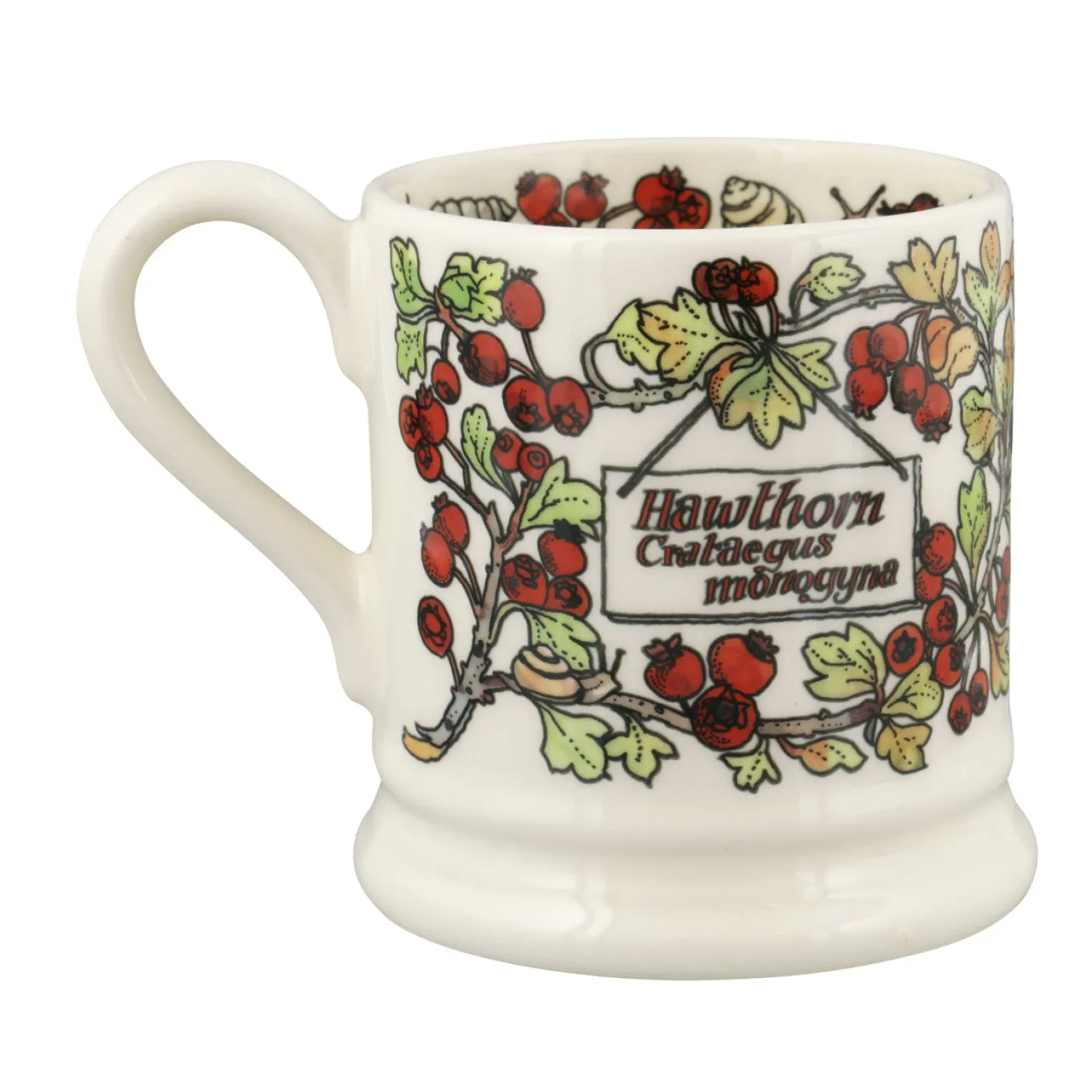Birds In The Hedgerow Hawthorn & Chaffinch 1/2 Pint Mug