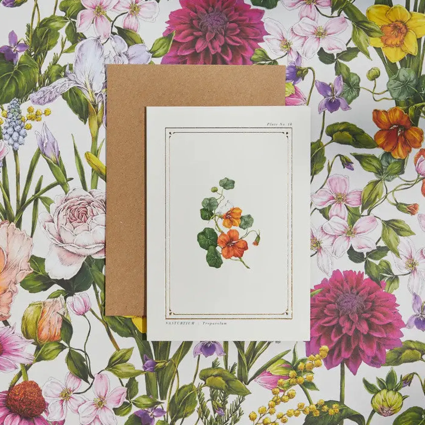 Nasturtium - 'Botanical Archive: Everyday Edition' - card