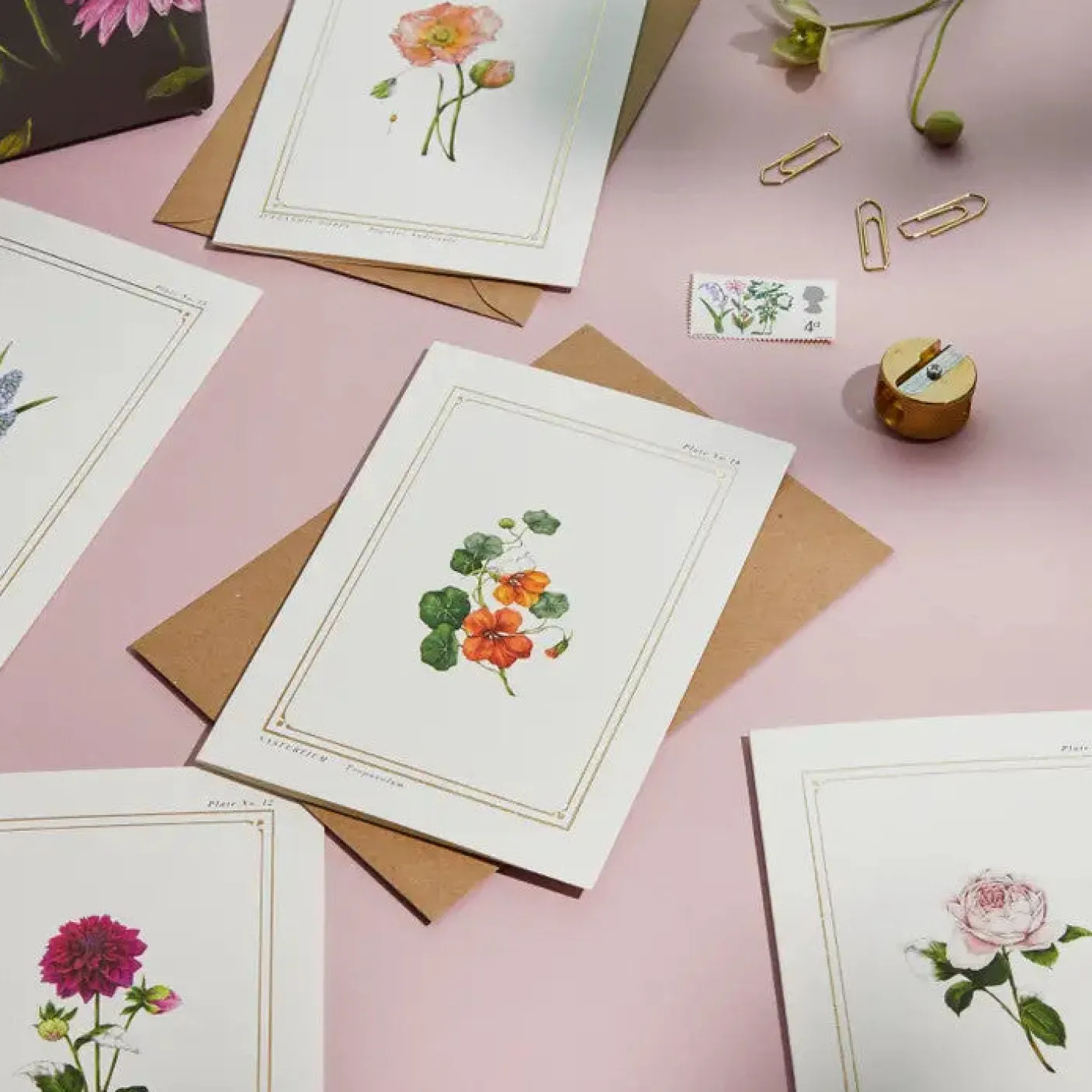 Nasturtium - 'Botanical Archive: Everyday Edition' - card