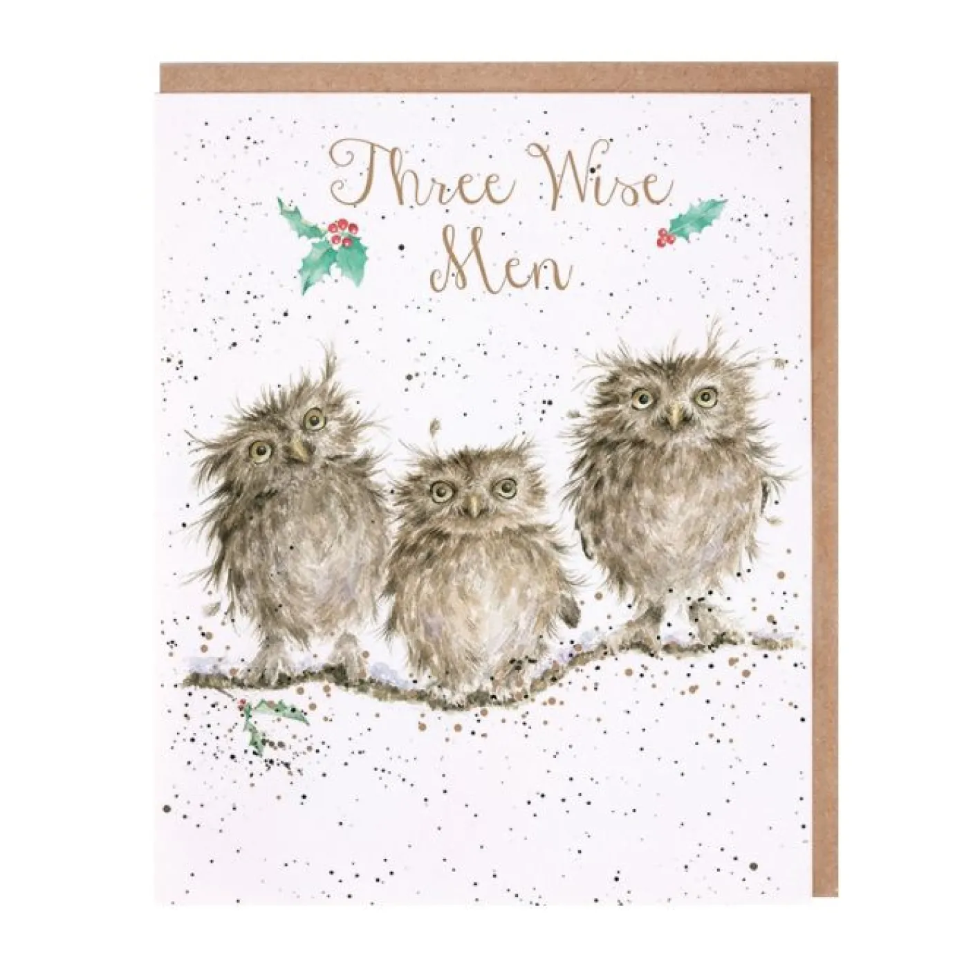 'Three Wise Men' Owls Christmas Greeting Card