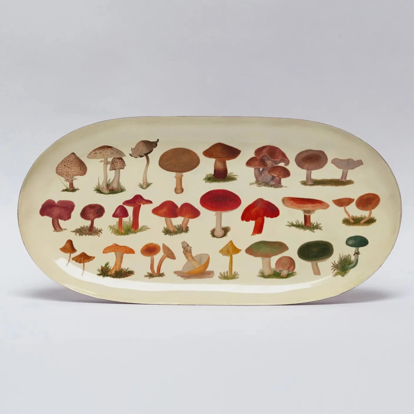Fungi Oval Enamel Printed Tray