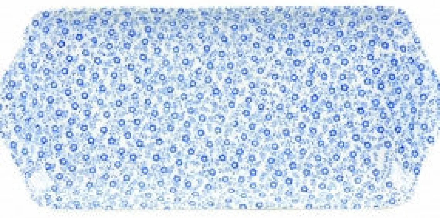 Blue Felicity Sandwich Tray