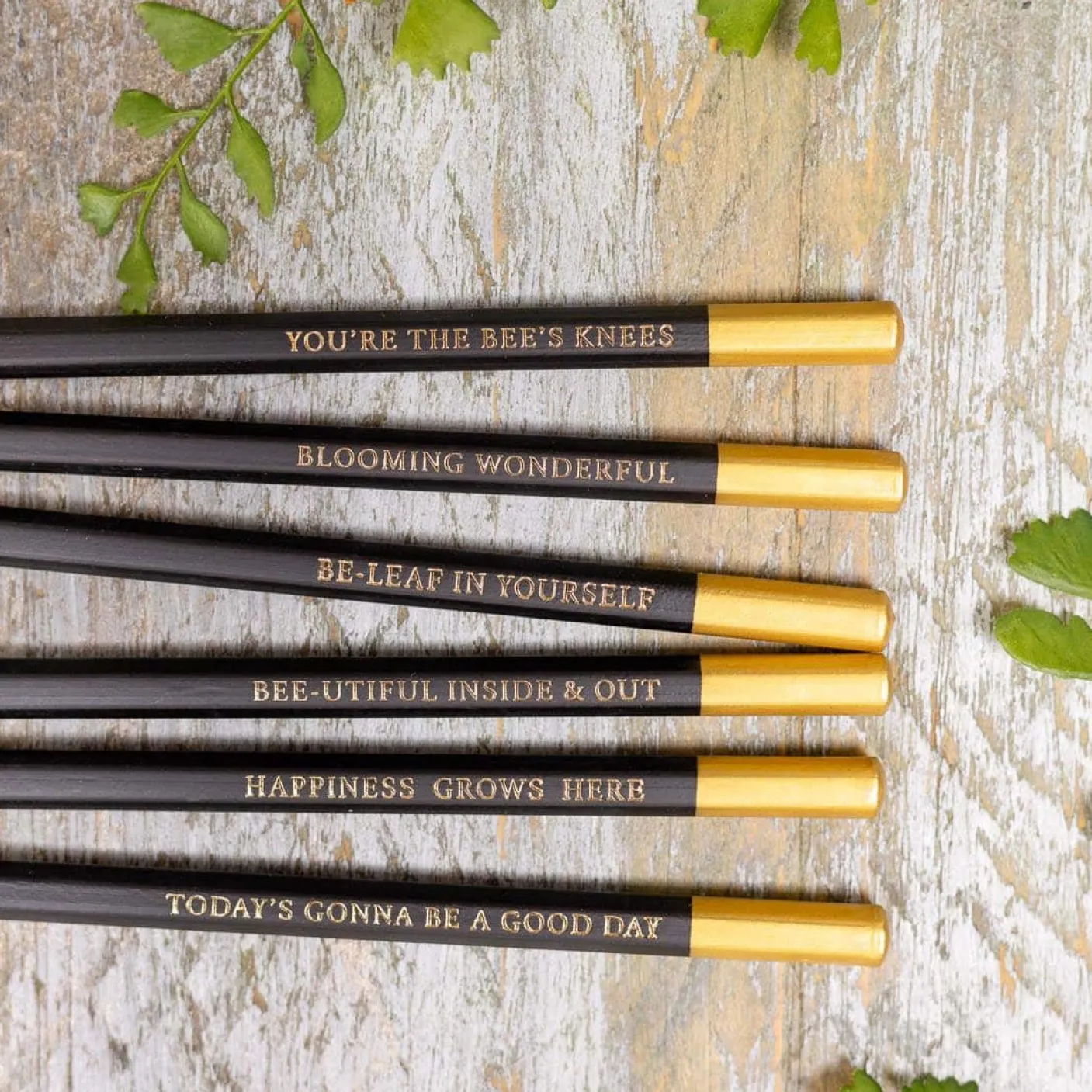 In Full Bloom Set of 6 Pencils