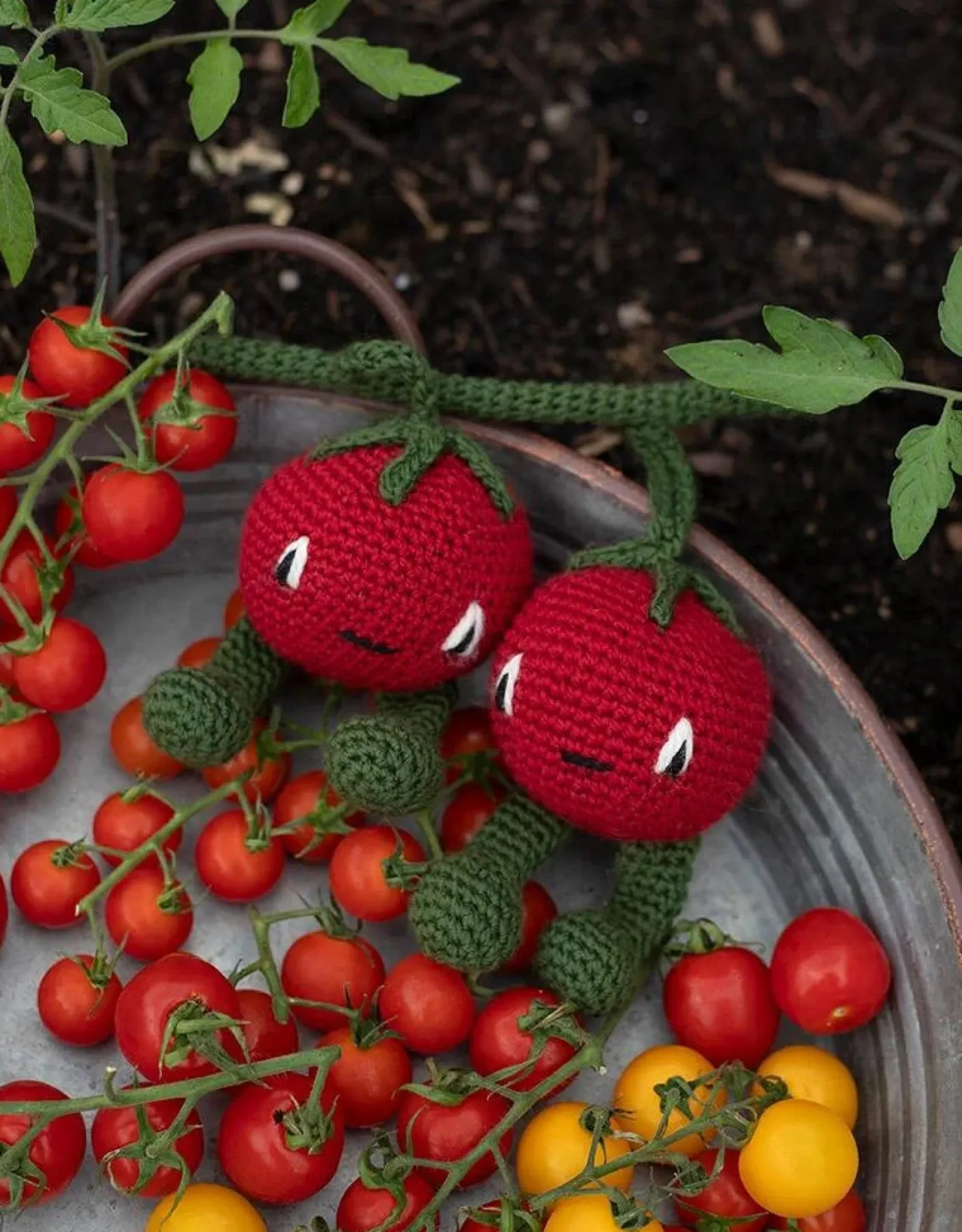 Cherry Tomatoes Kit