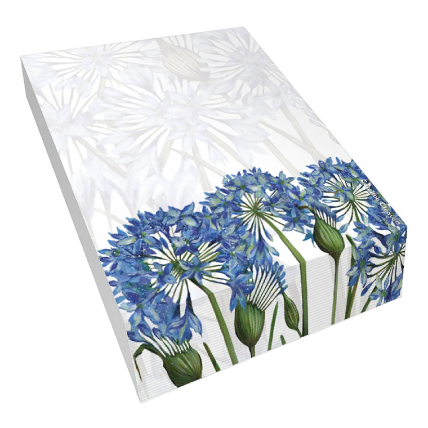 Agapanthus II Slant Pad