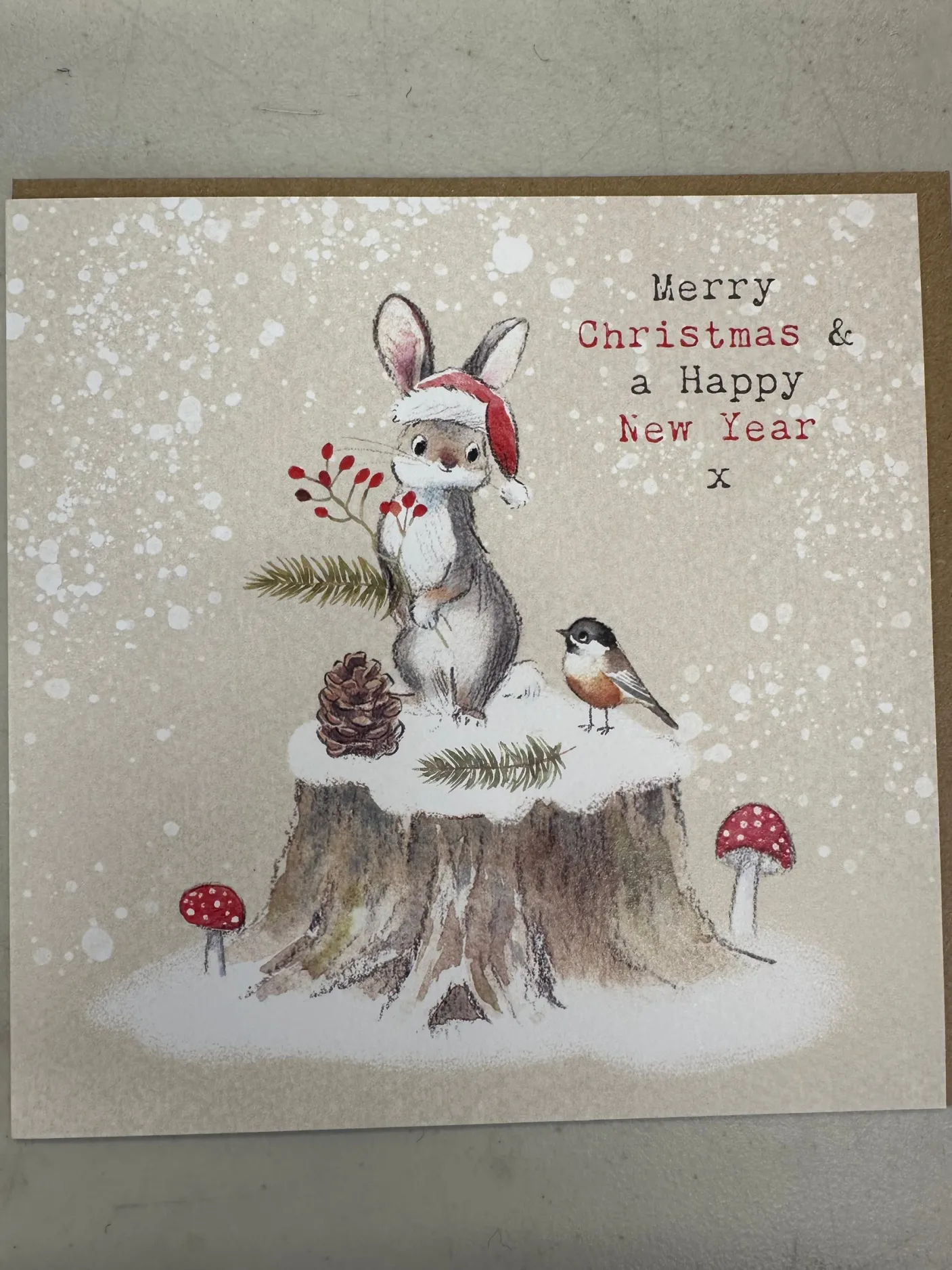 Rabbit and Bird Christmas Card