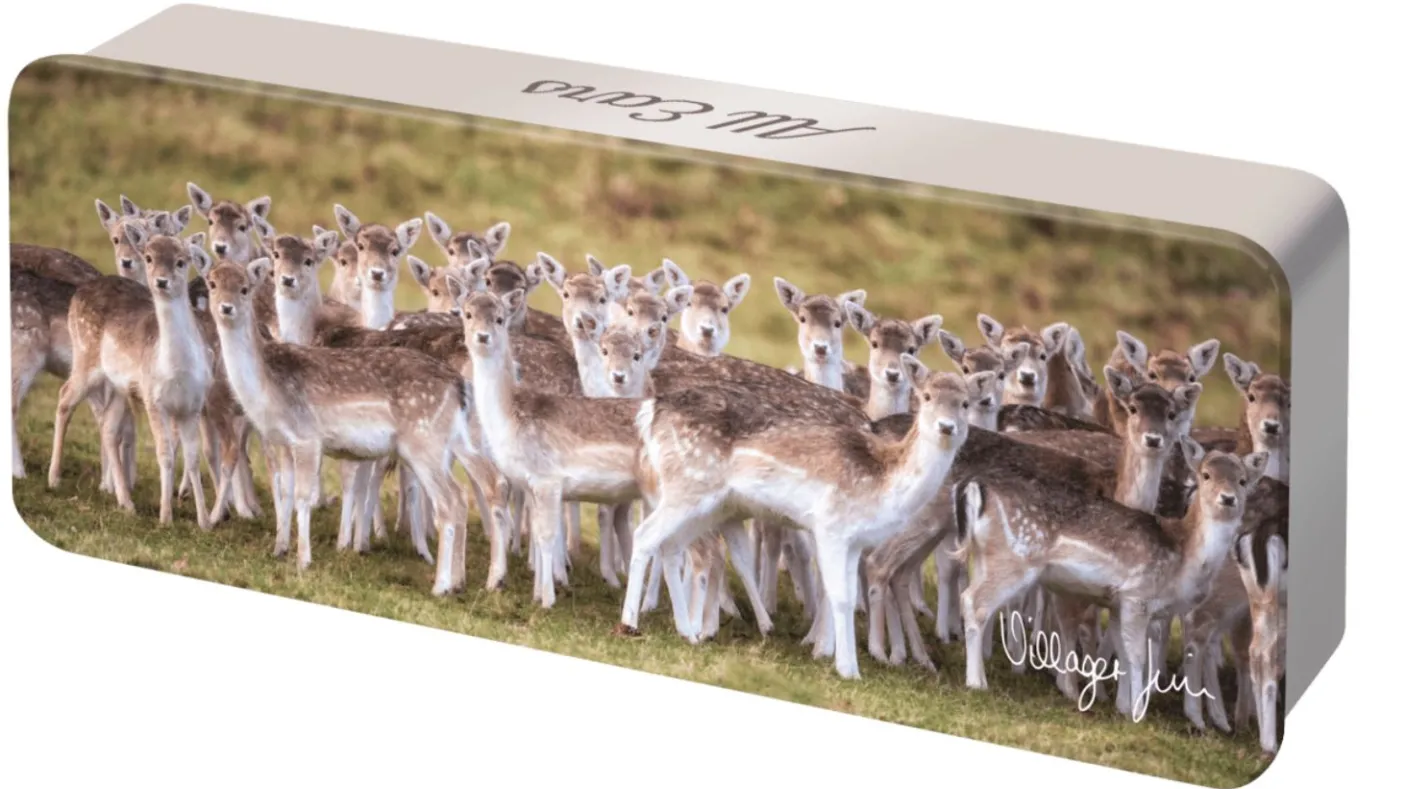 "All Ears" All Butter Shortbread Squares 150g