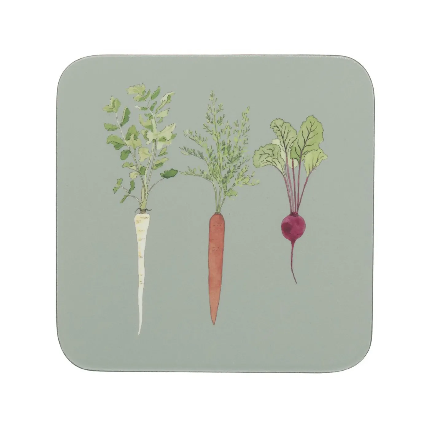 Home Grown Coasters- Set of 4