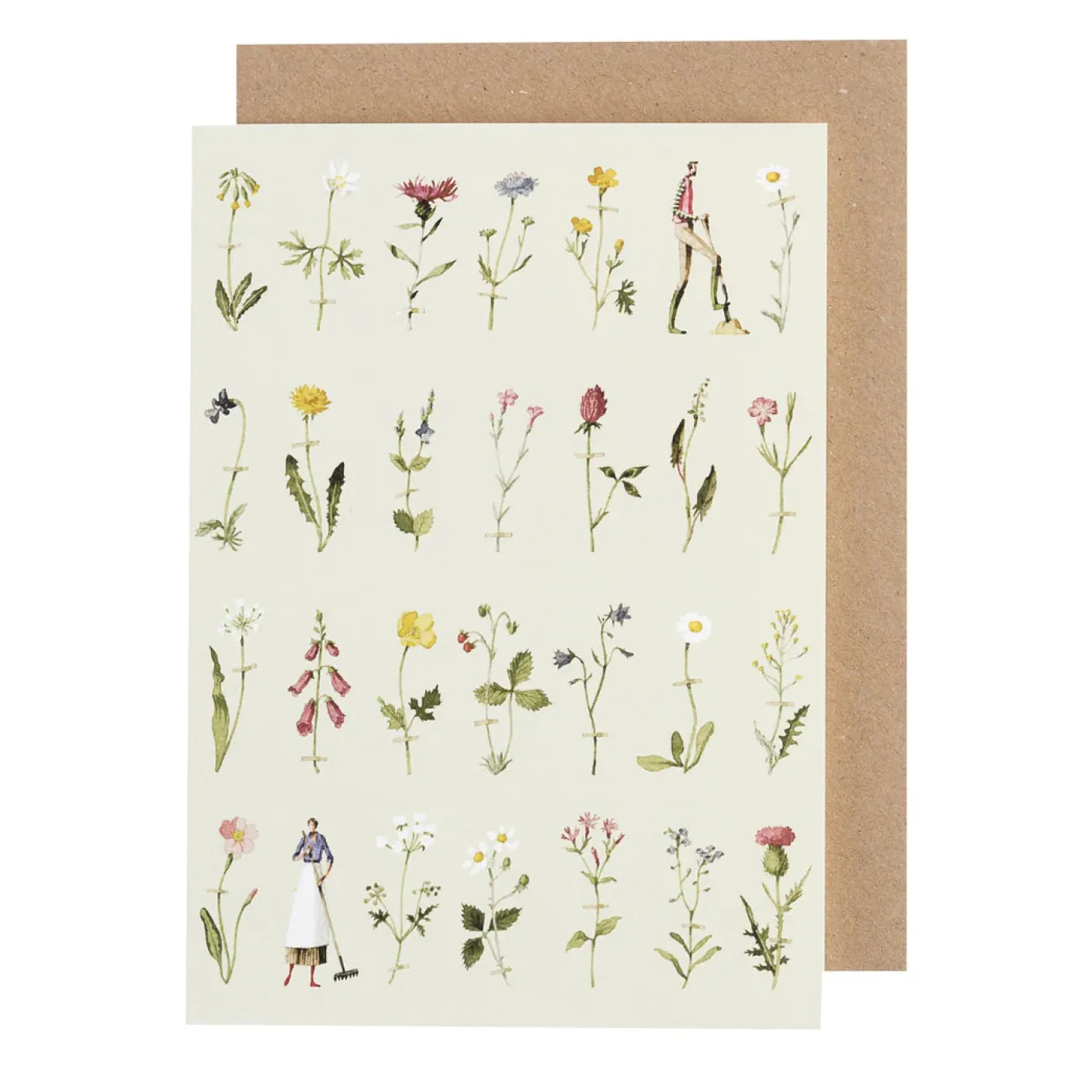 Wild Flowers Greetings Card