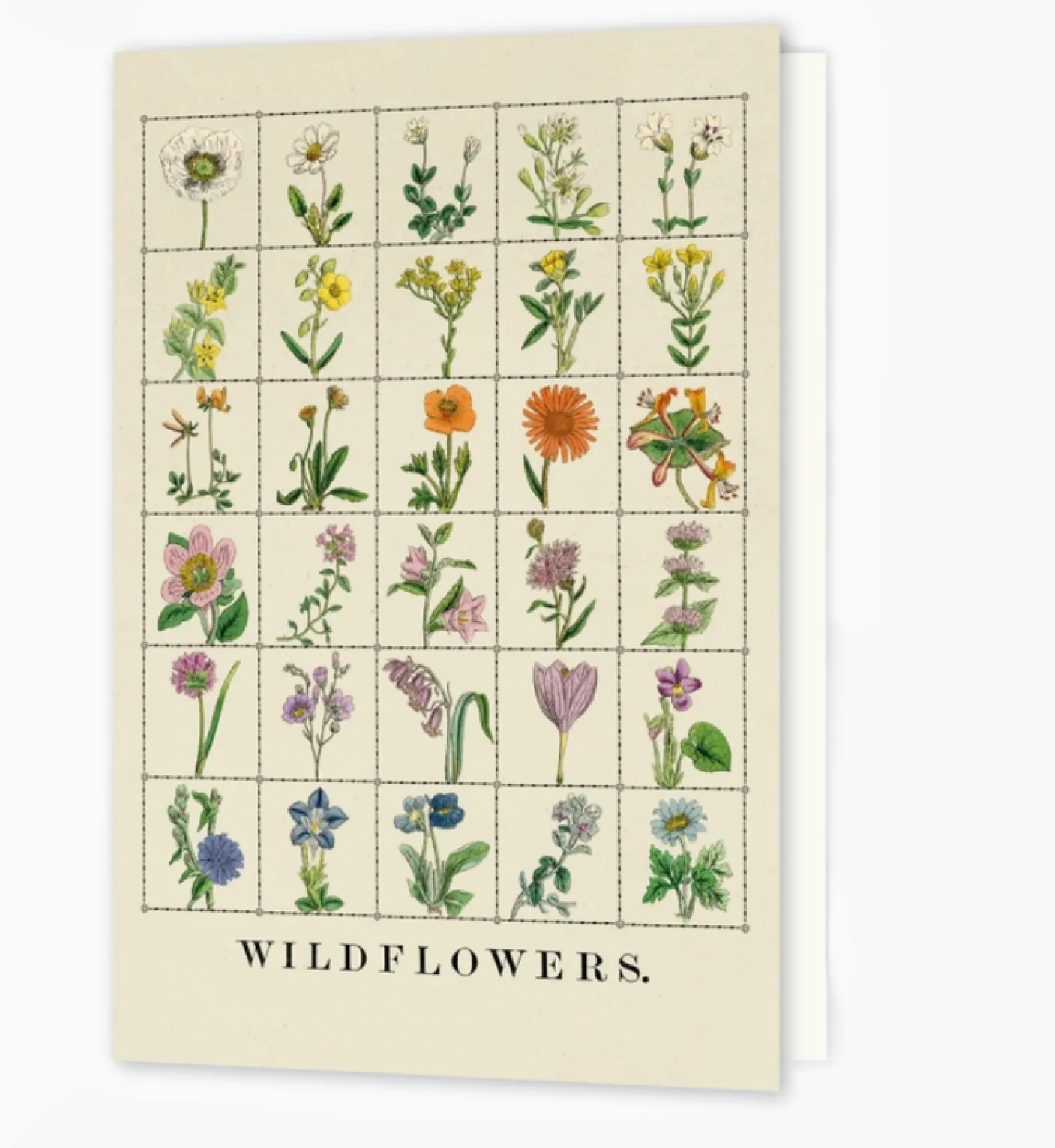 Wildflowers Greetings Card