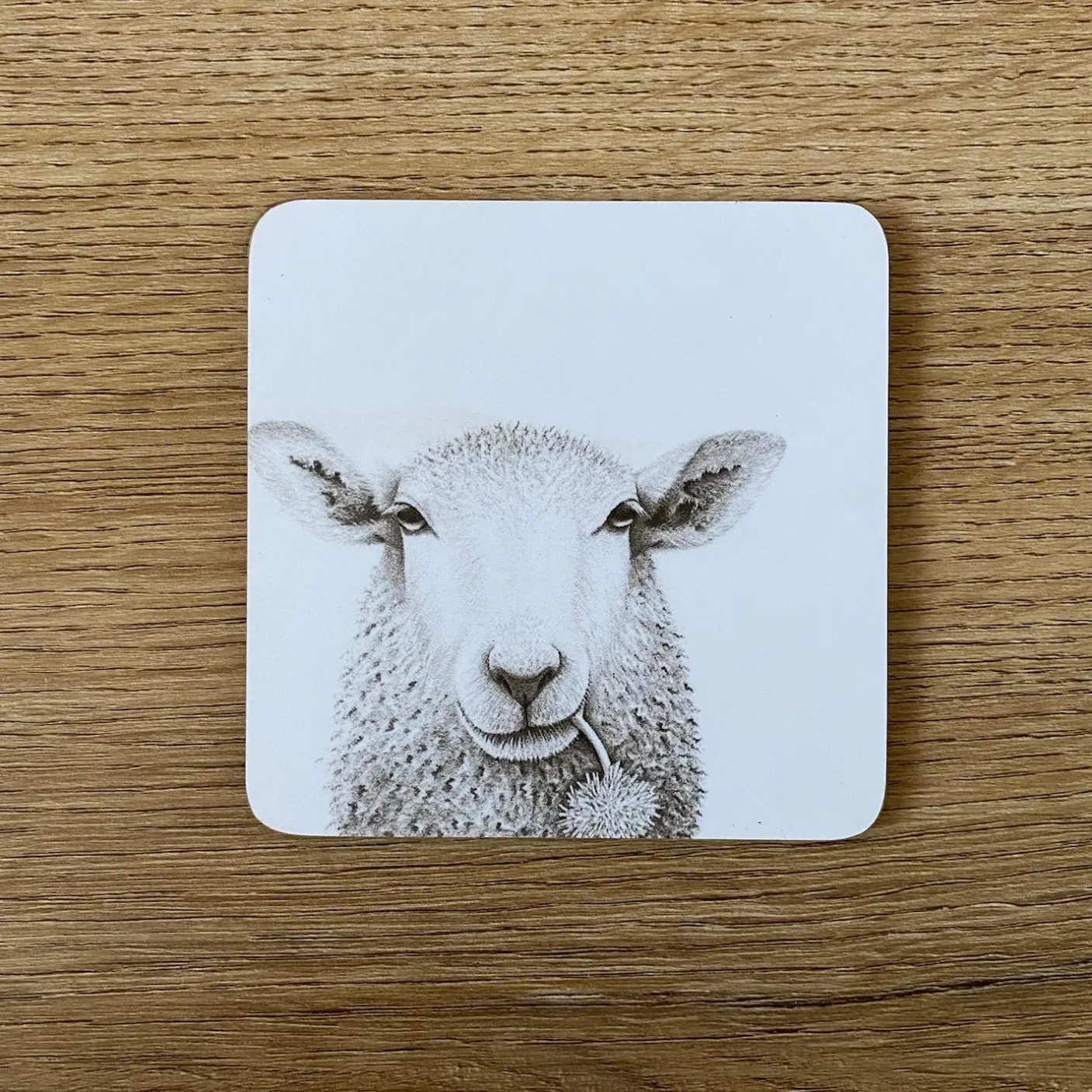 Baaley the Sheep Coaster