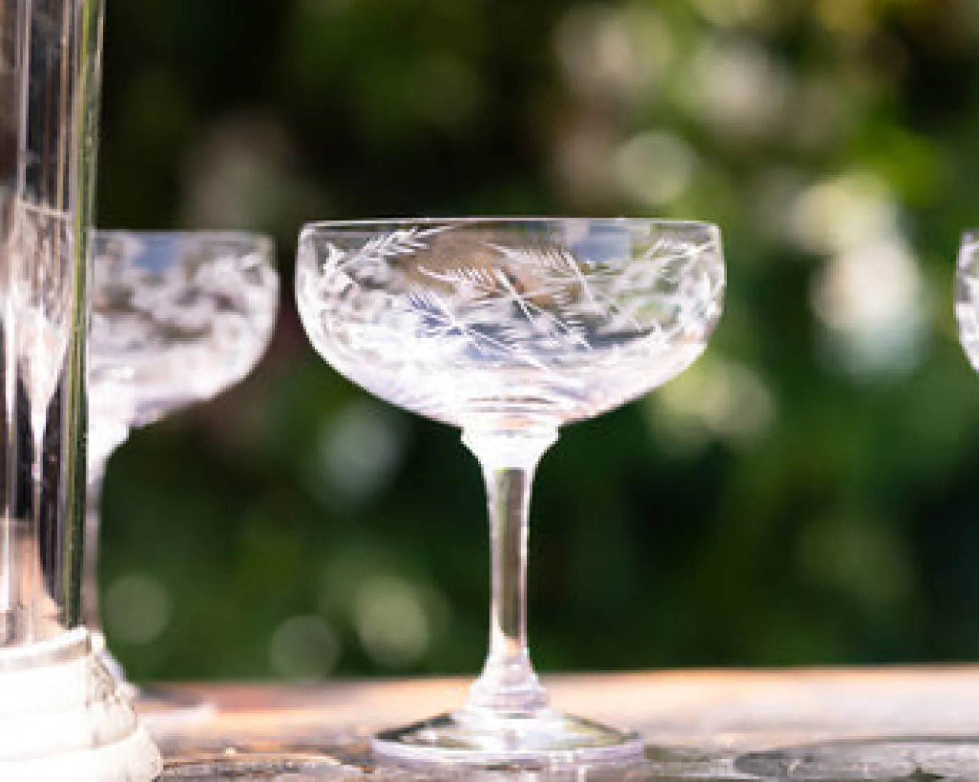 Cocktail Glass with Fern Design by The Vintage List