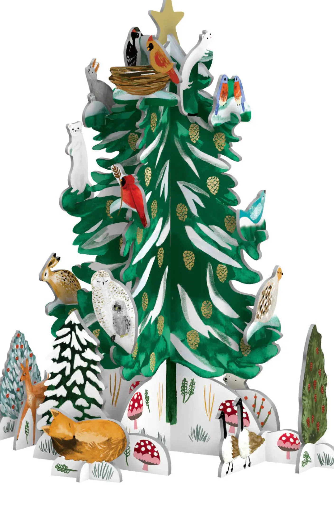 Christmas Conifer Pop and Slot Advent