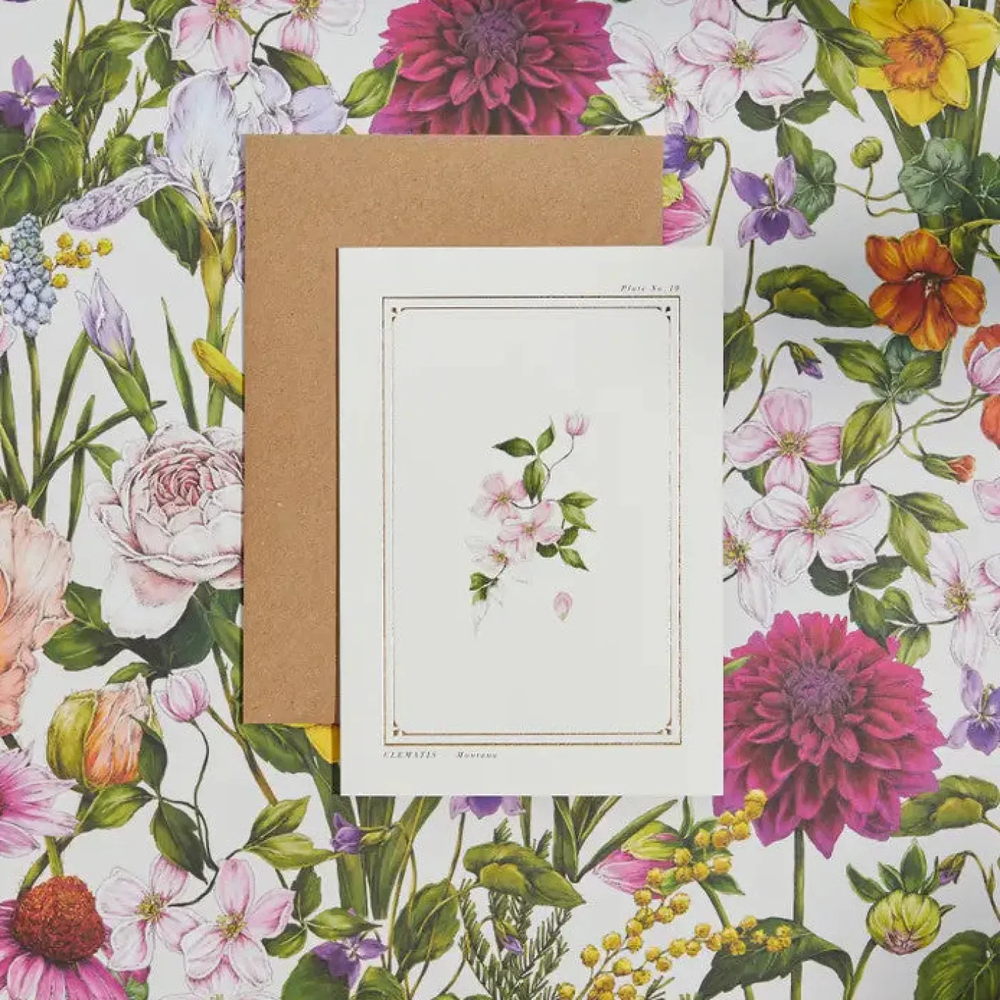 Clematis - 'Botanical Archive: Everyday Edition' - card