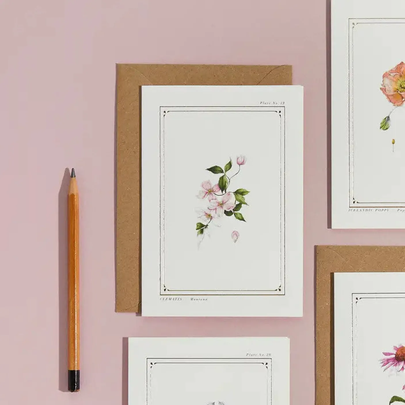 Clematis - 'Botanical Archive: Everyday Edition' - card