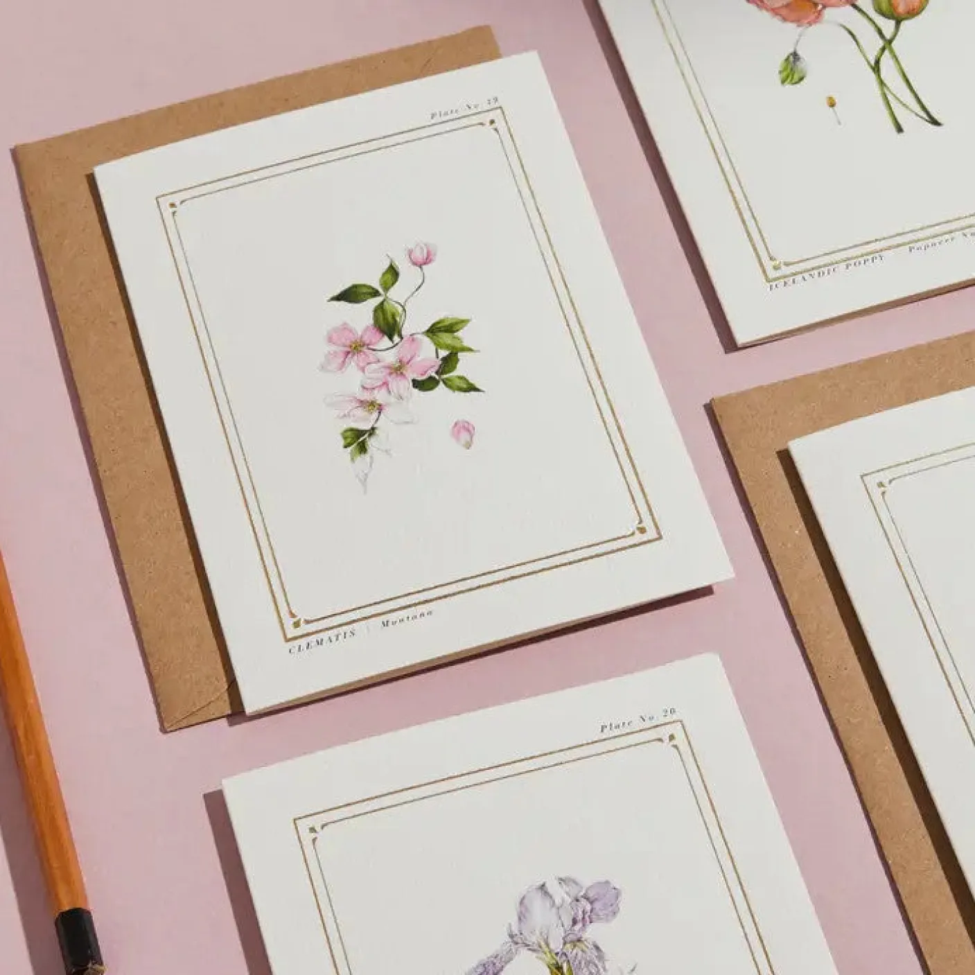 Clematis - 'Botanical Archive: Everyday Edition' - card