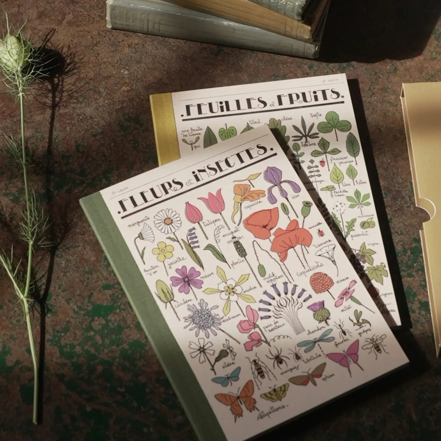 Fleur et Feuilles Set of 2 Notebooks