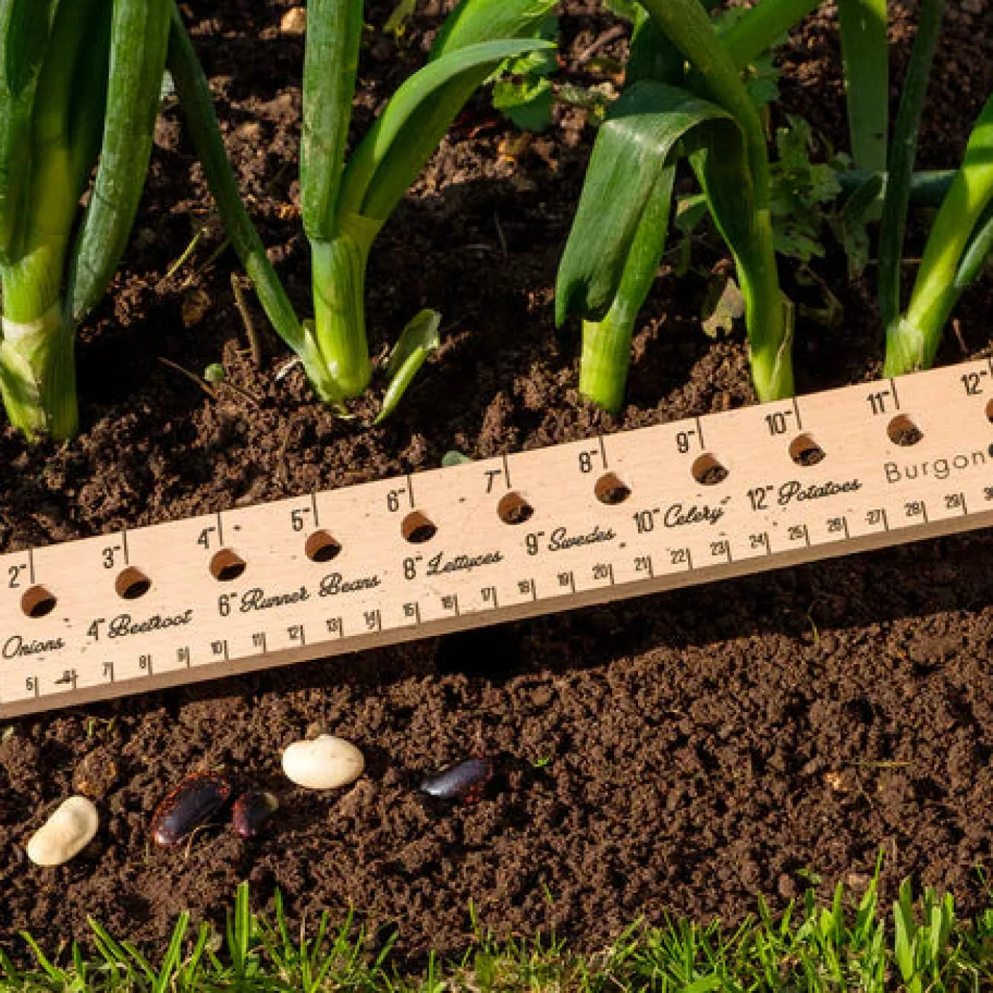 Essential Tools Plant Rule