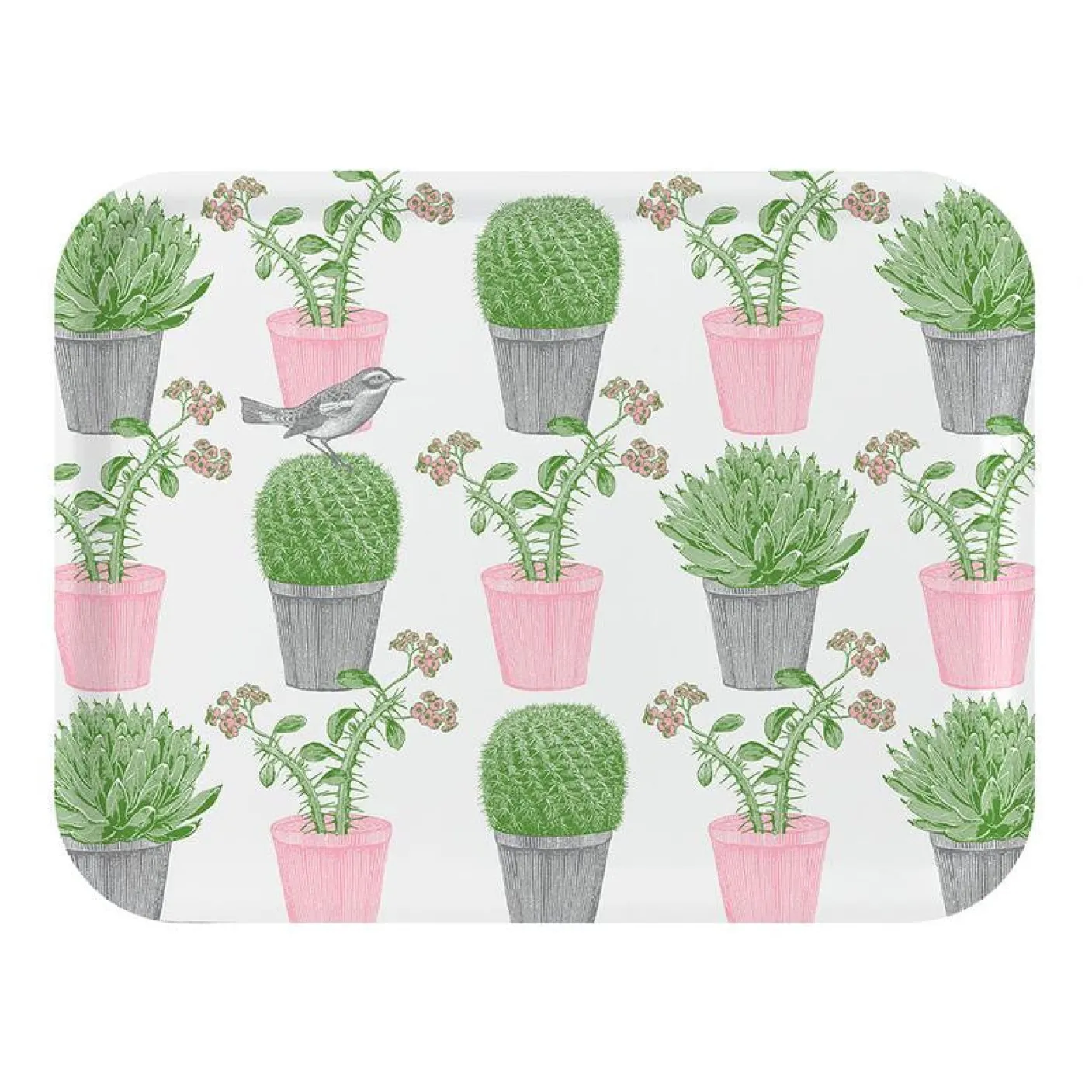Cactus & Bird Large Tray