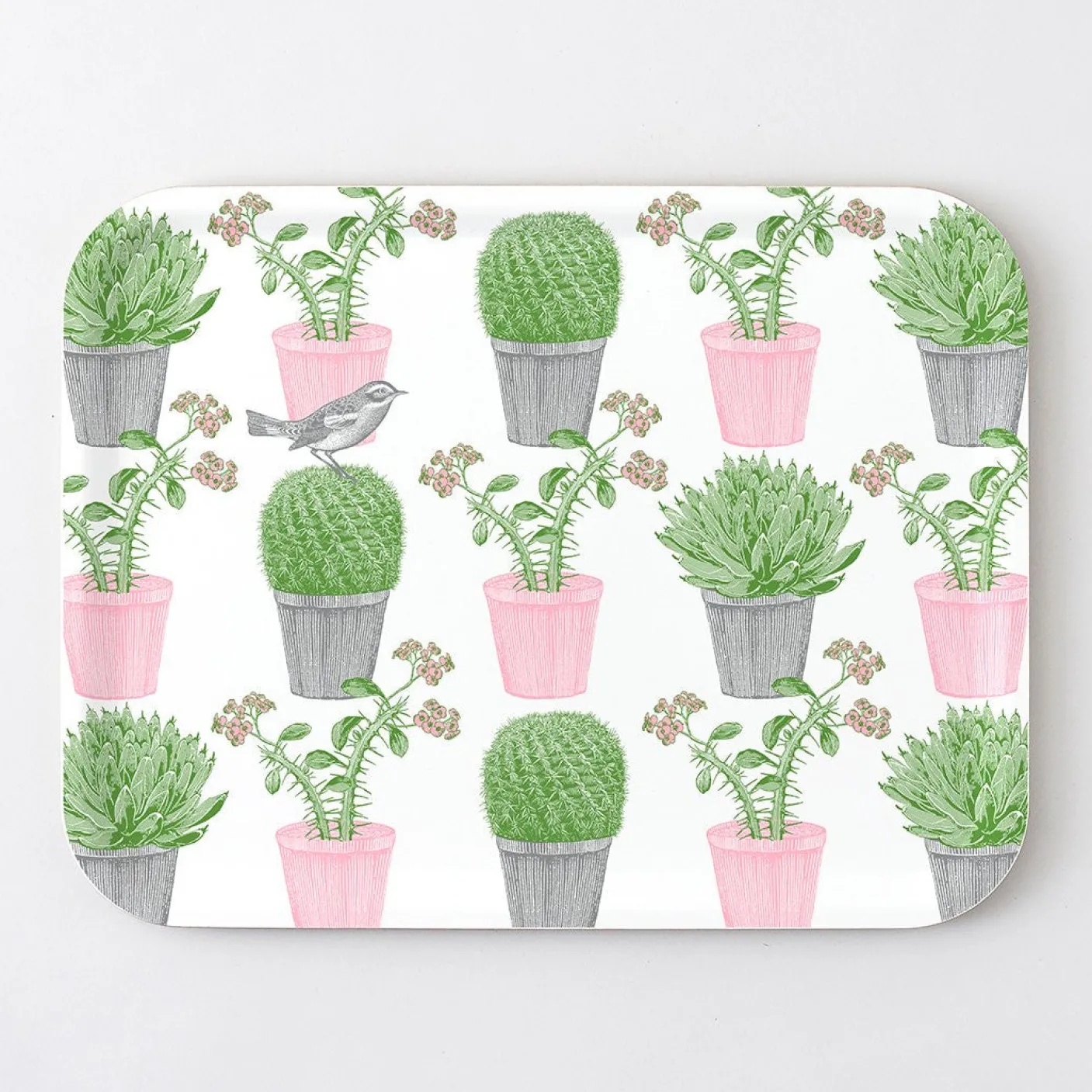 Cactus & Bird Large Tray