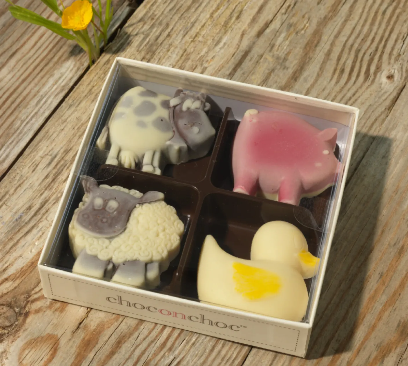 Chocolate Animals Farmyard Selection Four Box