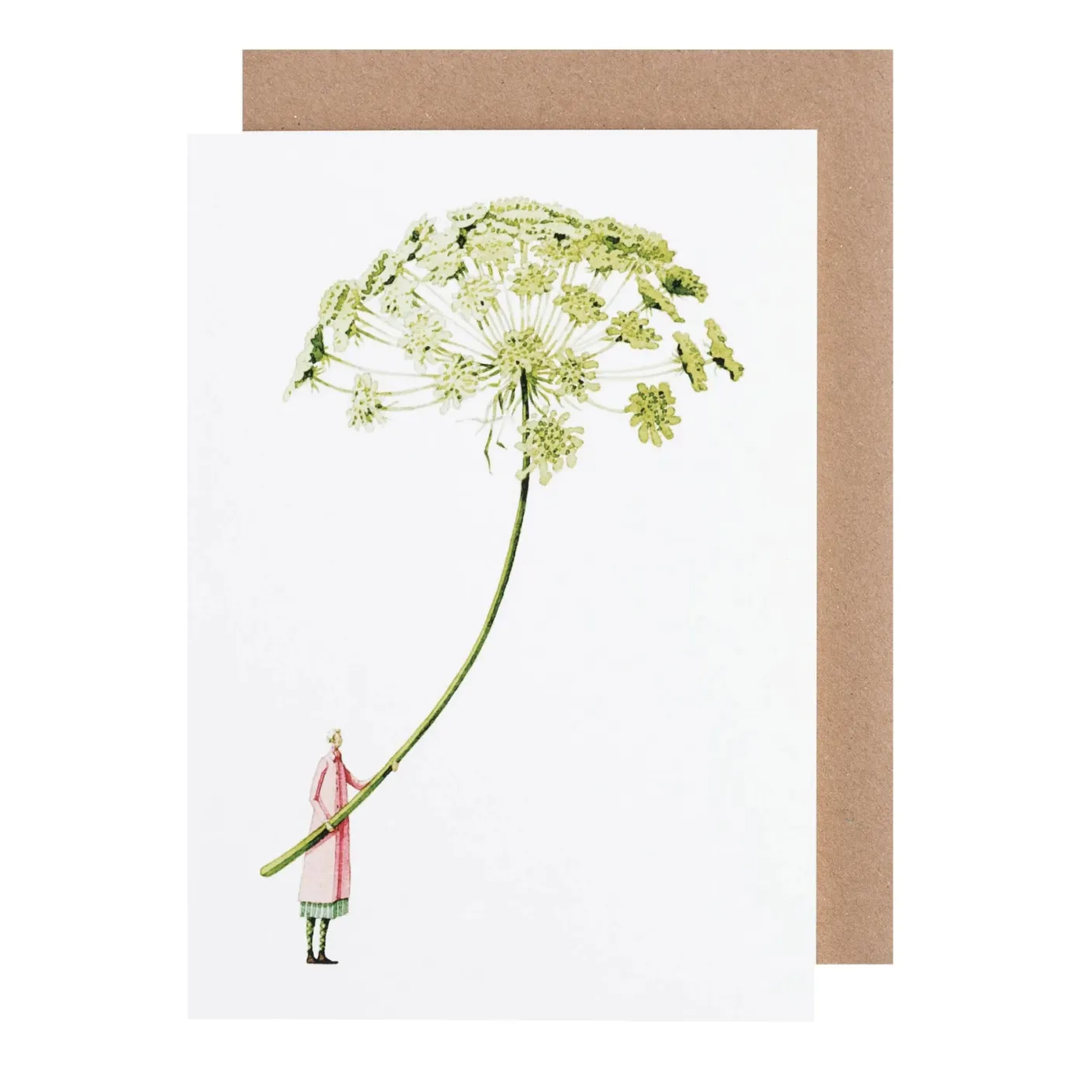 Green Ammi Blank Greetings Card
