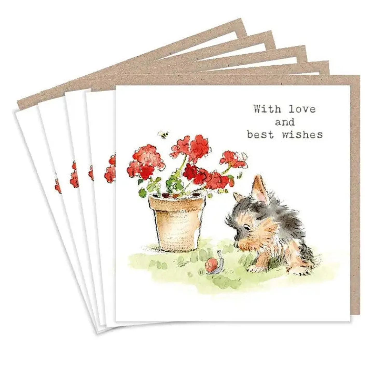 Yorkie and Snail "With love and best wishes" Set of 5  Notecards