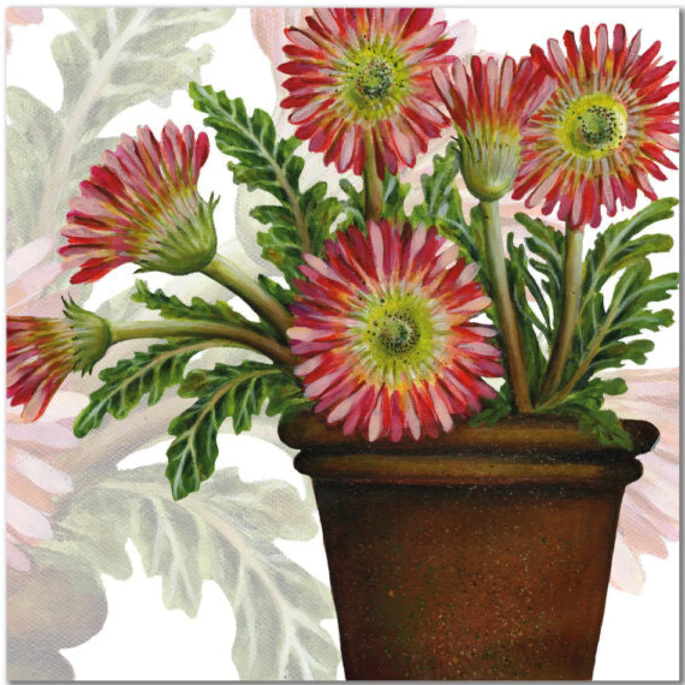 Gerbera Greetings Card