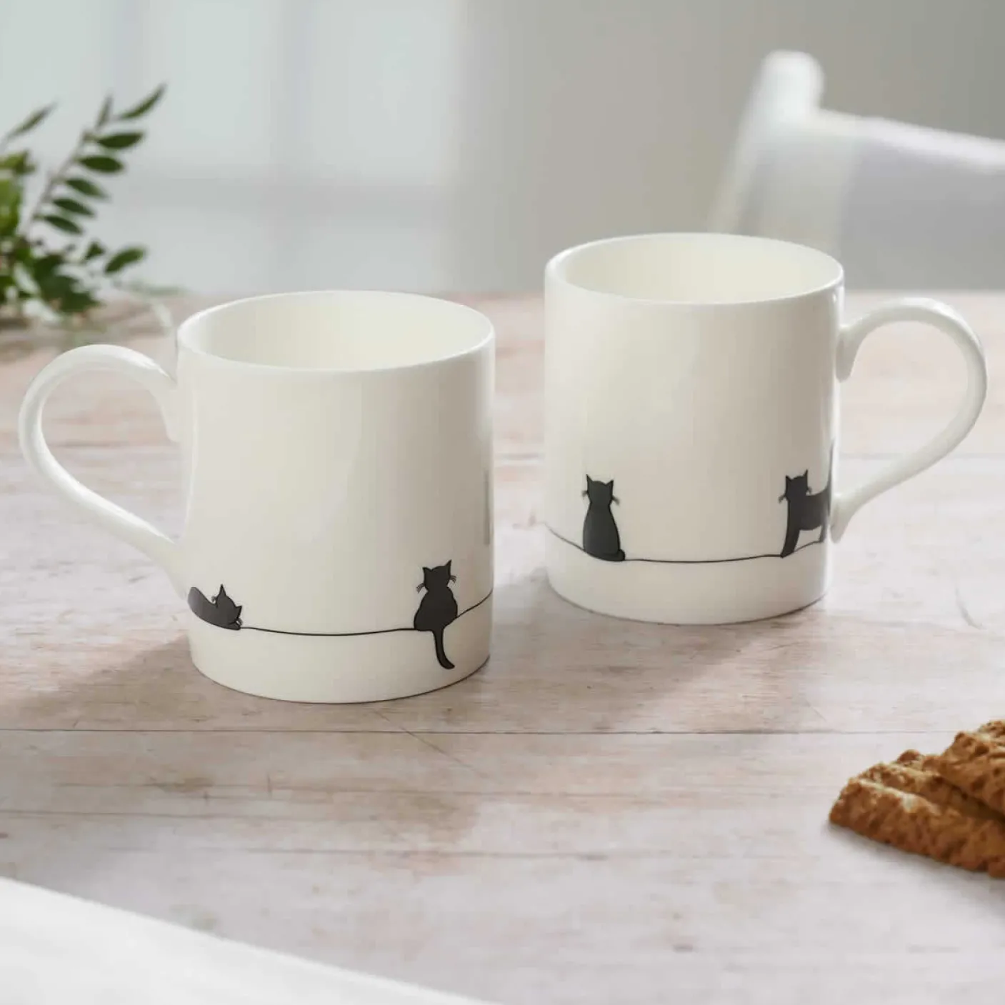 Cat Collection Large Mug