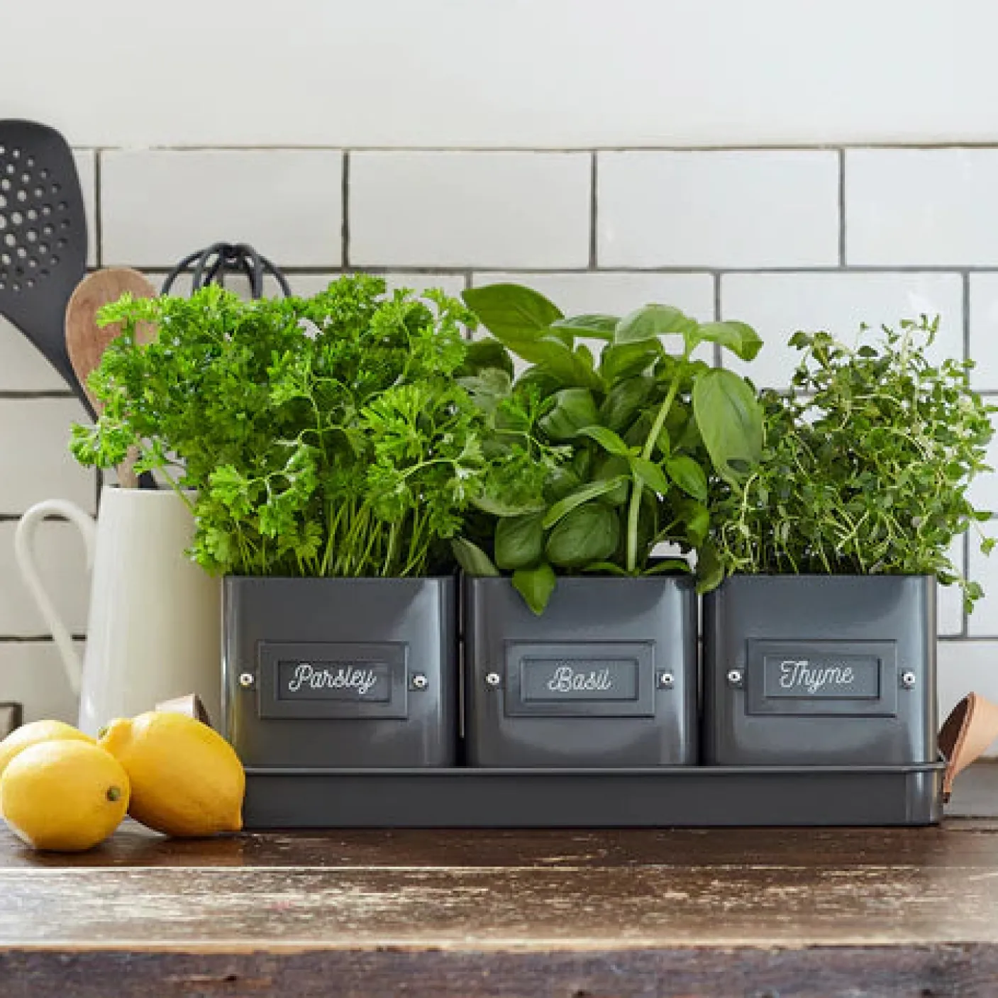 Set of 3 Herb Pots in a Leather Handled Tray - Grey
