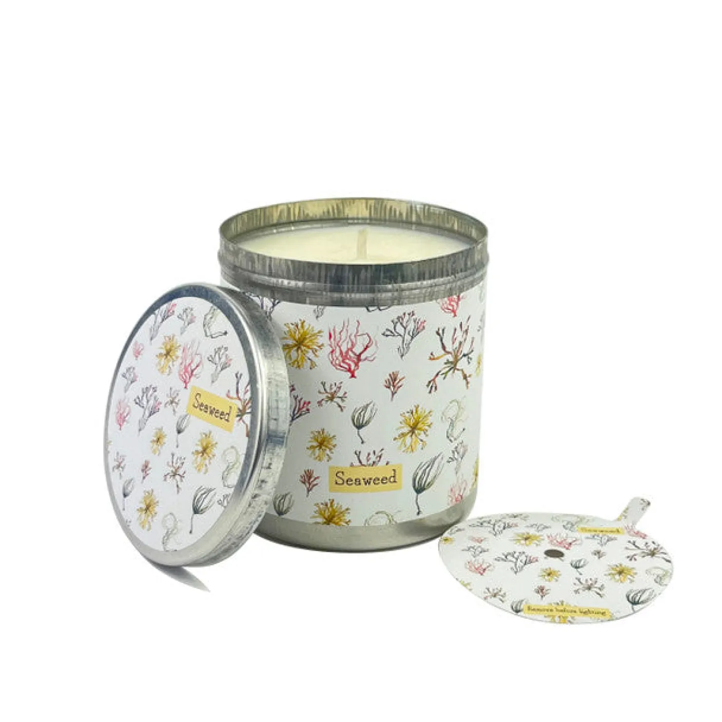 Seaweed- Sea Salt & Spray Candle Tin