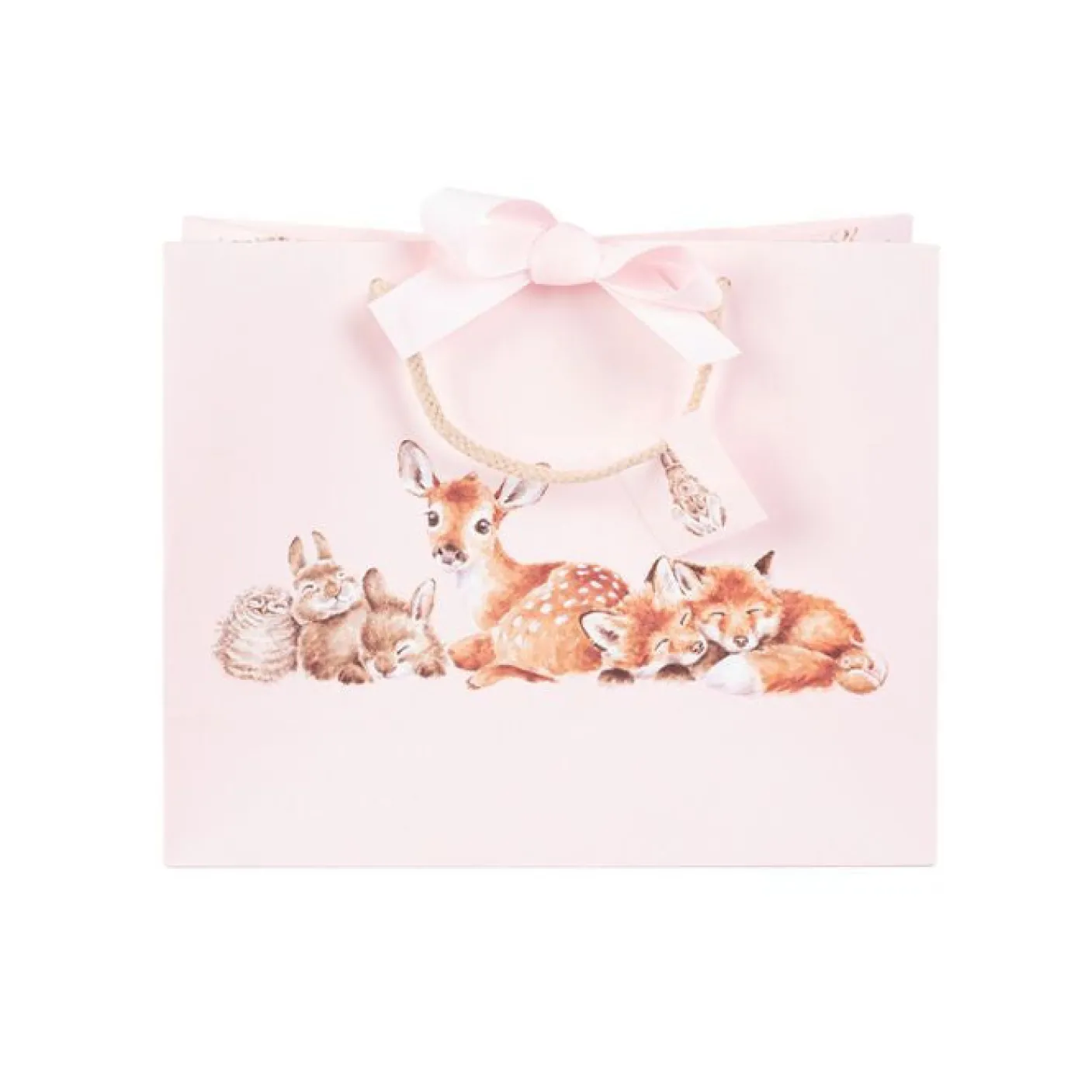 'Little Forest' Woodland Animal Gift Bag