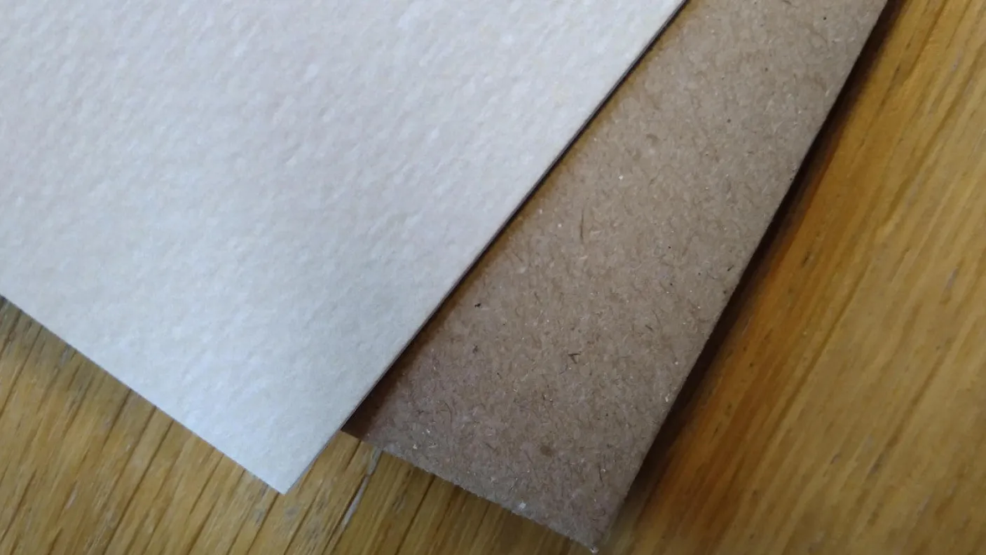 Cat Under Blossom Tree Greetings Card