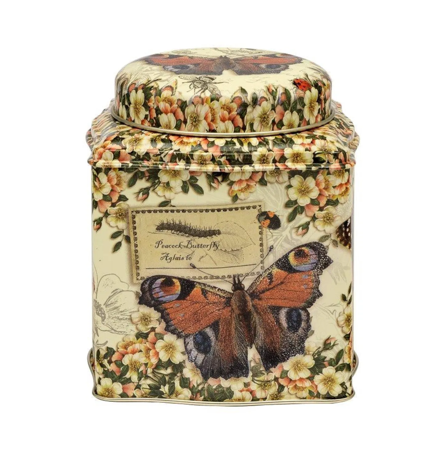 Nostalgia - Vintage Butterflies Wavy Dome Lid Tea Caddy