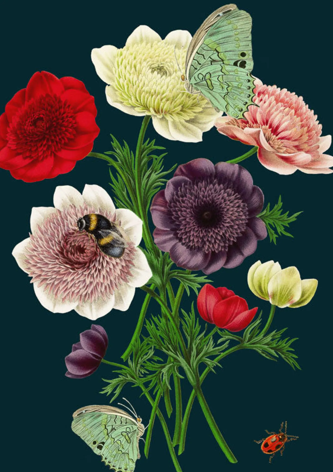 Anemones Greetings Card