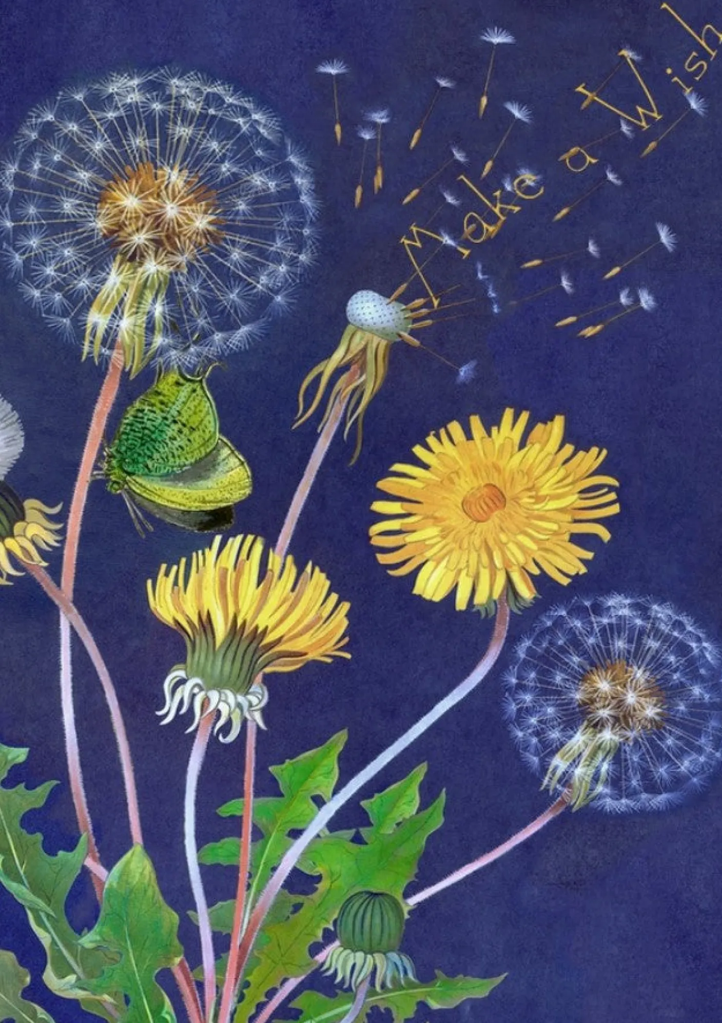 Dandelion Greetings Card