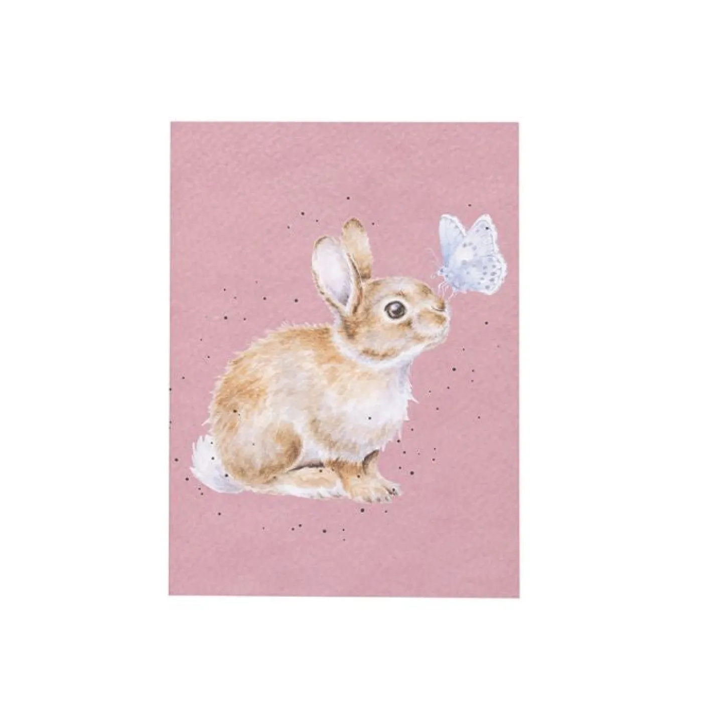 'I Spy a Butterfly' Rabbit A6 Notebook