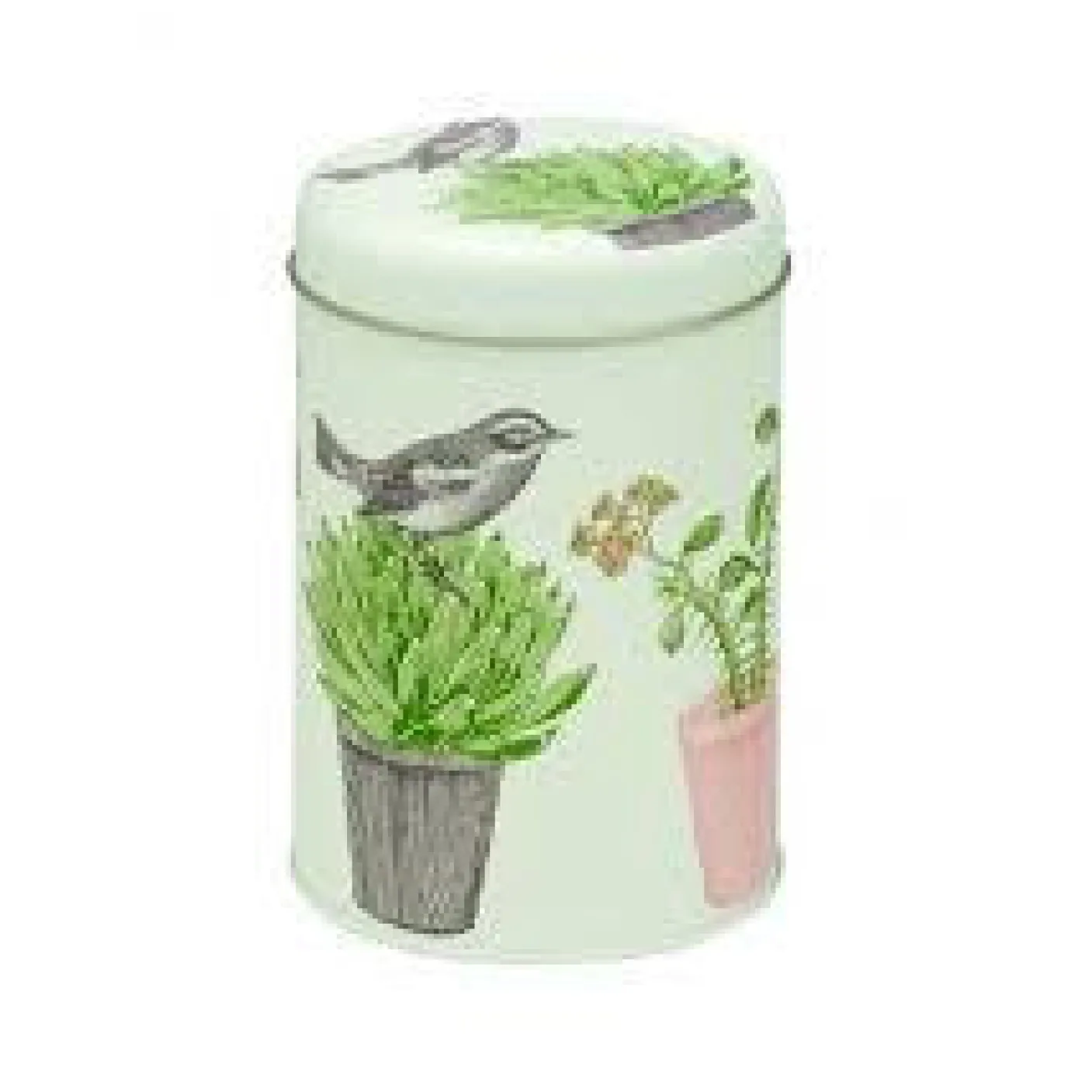 Cactus & Bird Round Caddy
