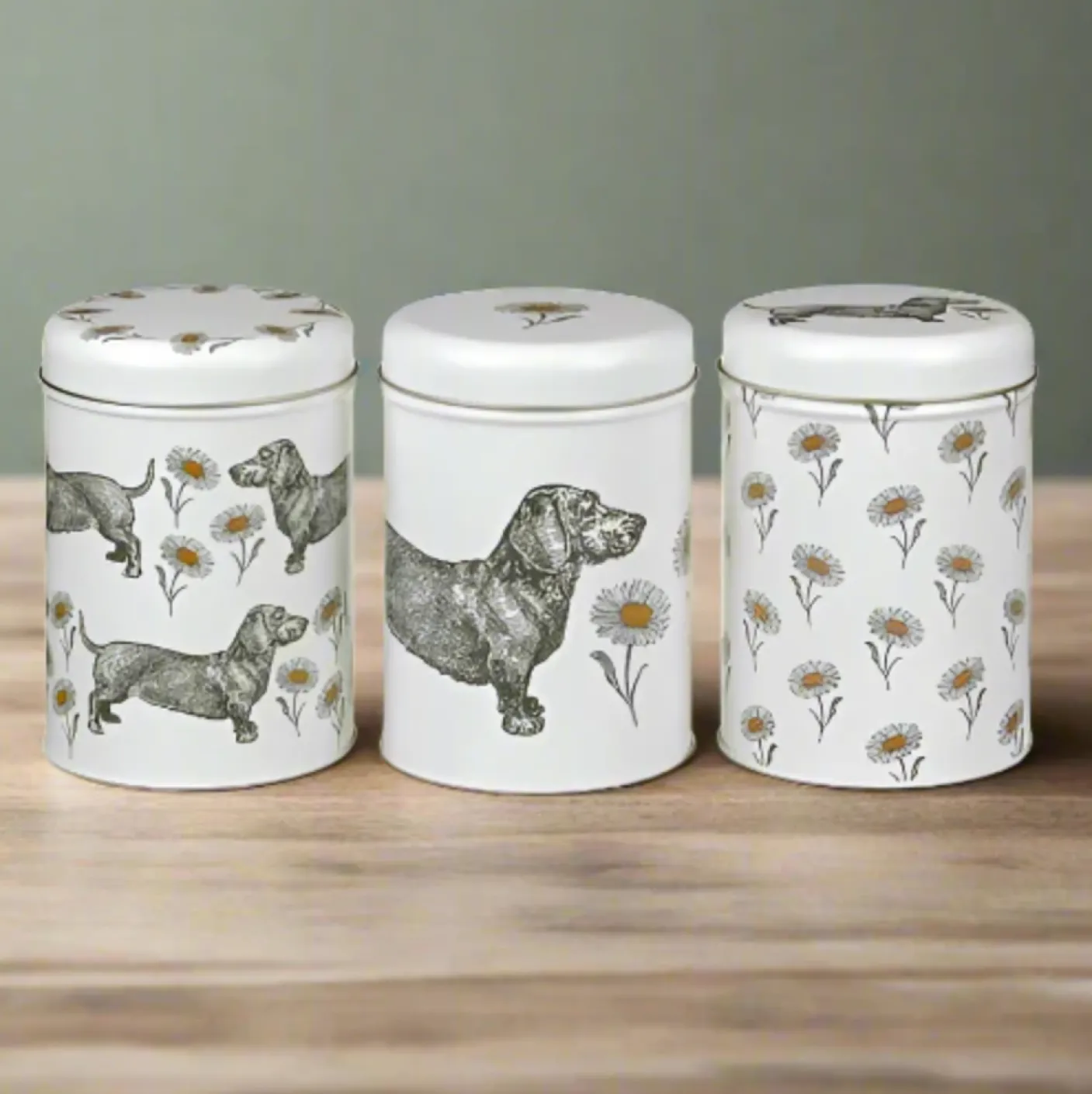 Dog & Daisy Set of 3 Round Caddies