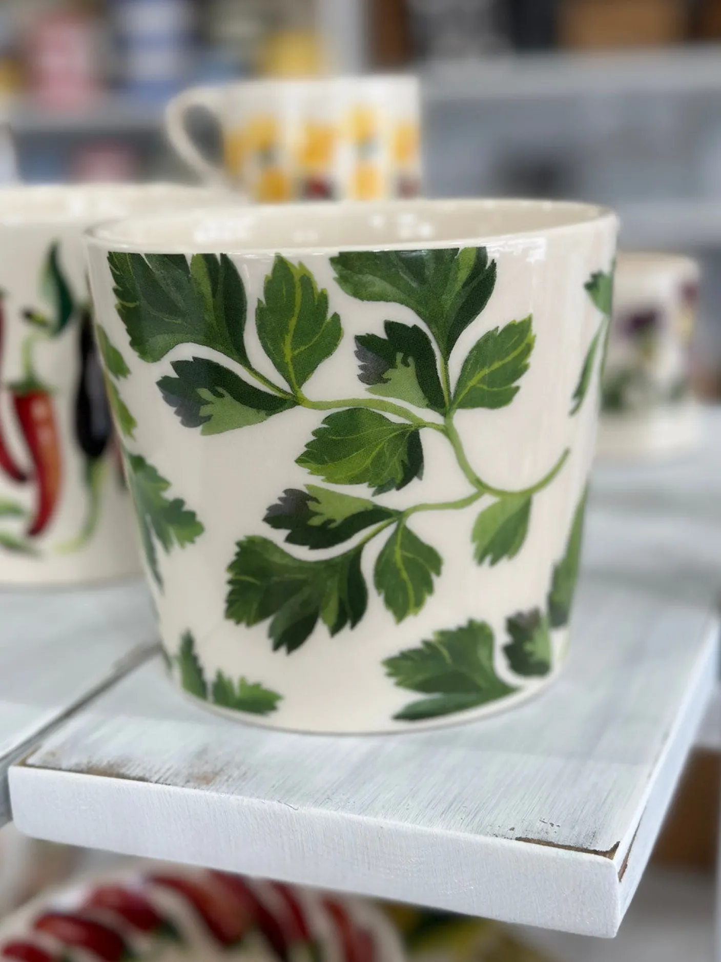 Parsley Plant Pot