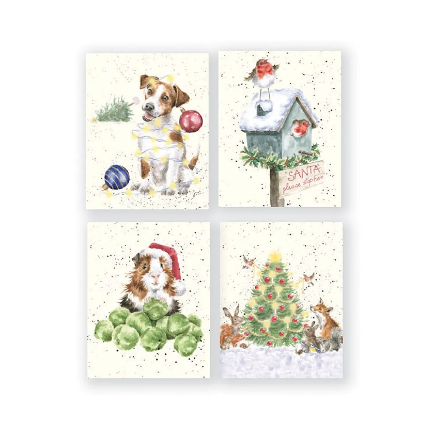 Woodland Animal Charity Gift Enclosure Card Pack