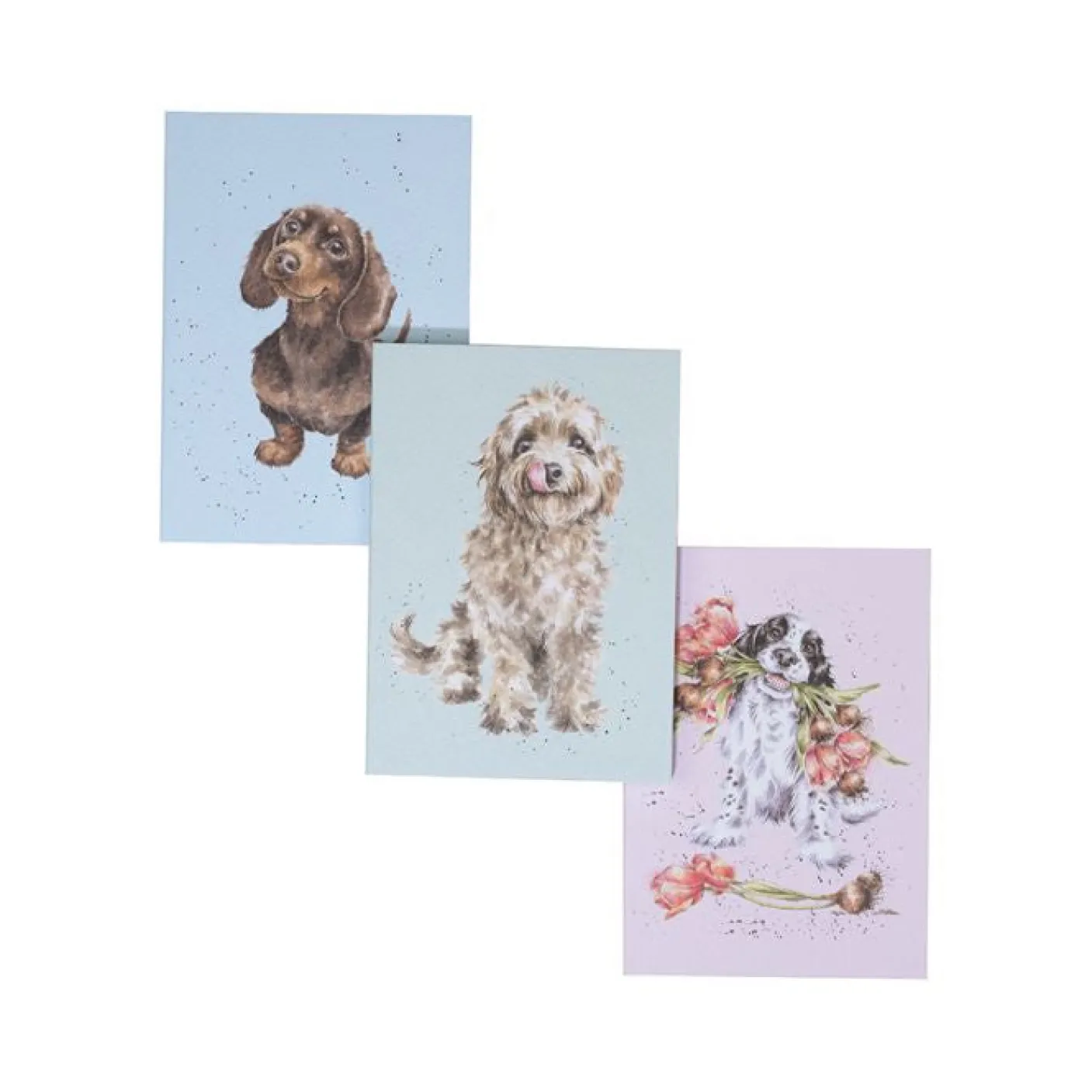 A Dog's Life - Set of 3 Notebooks