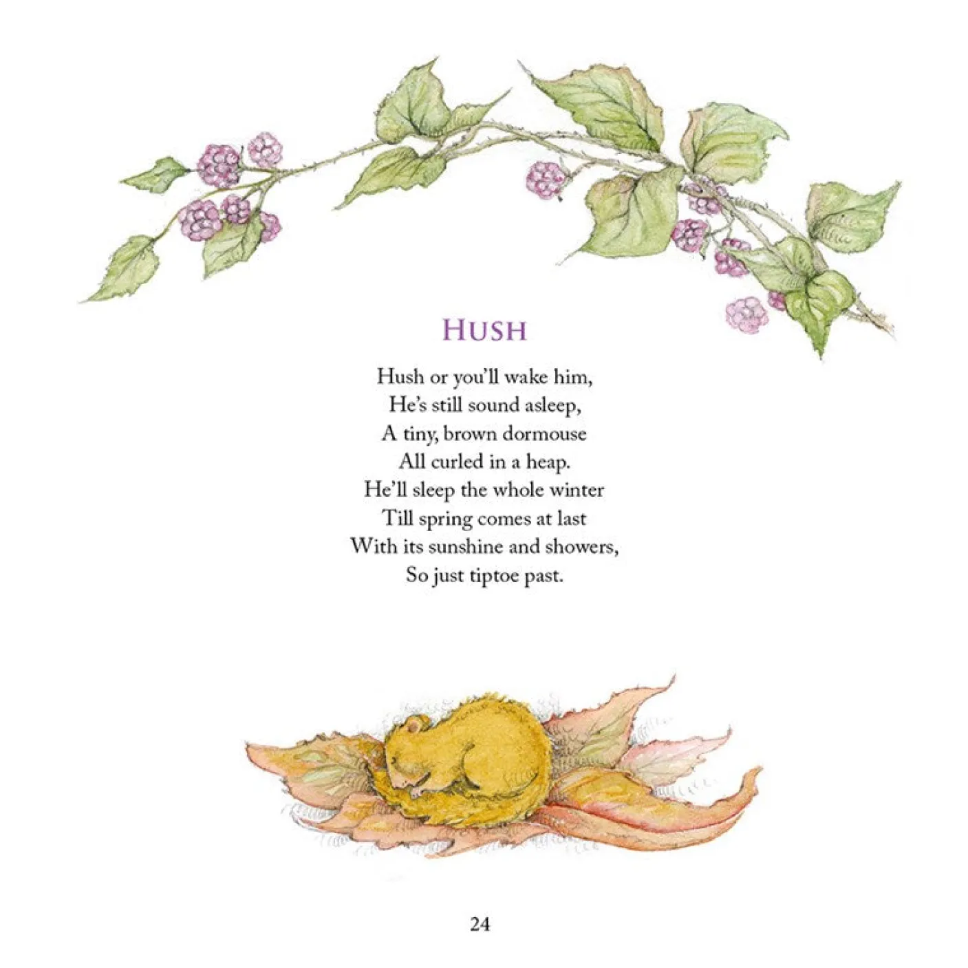 The Way to Faerieland Book