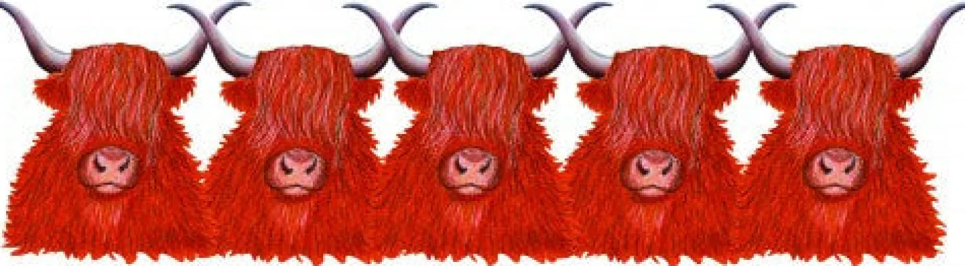 Highland Cow Mug by Moorland Pottery