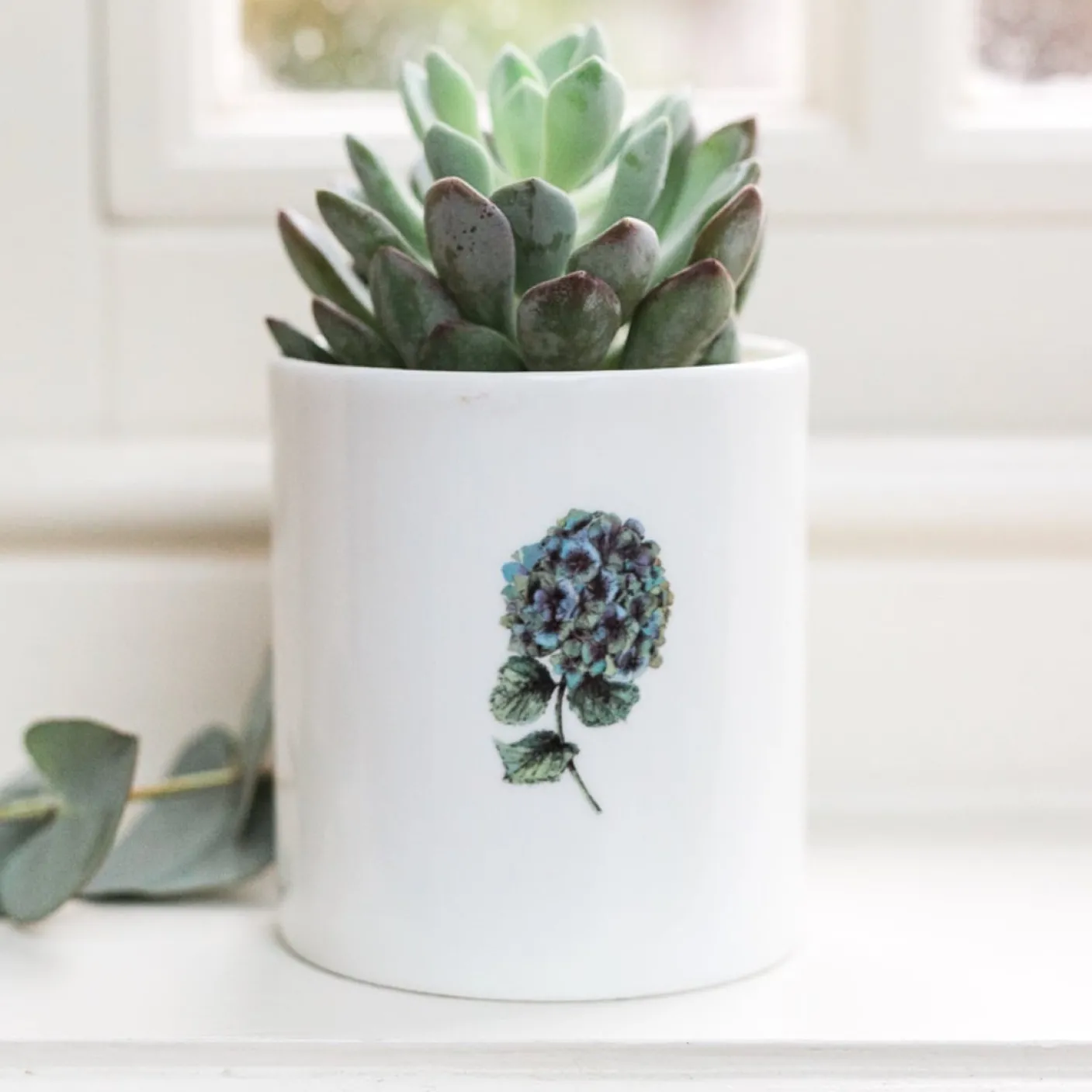 Hydrangea Bone China Pot