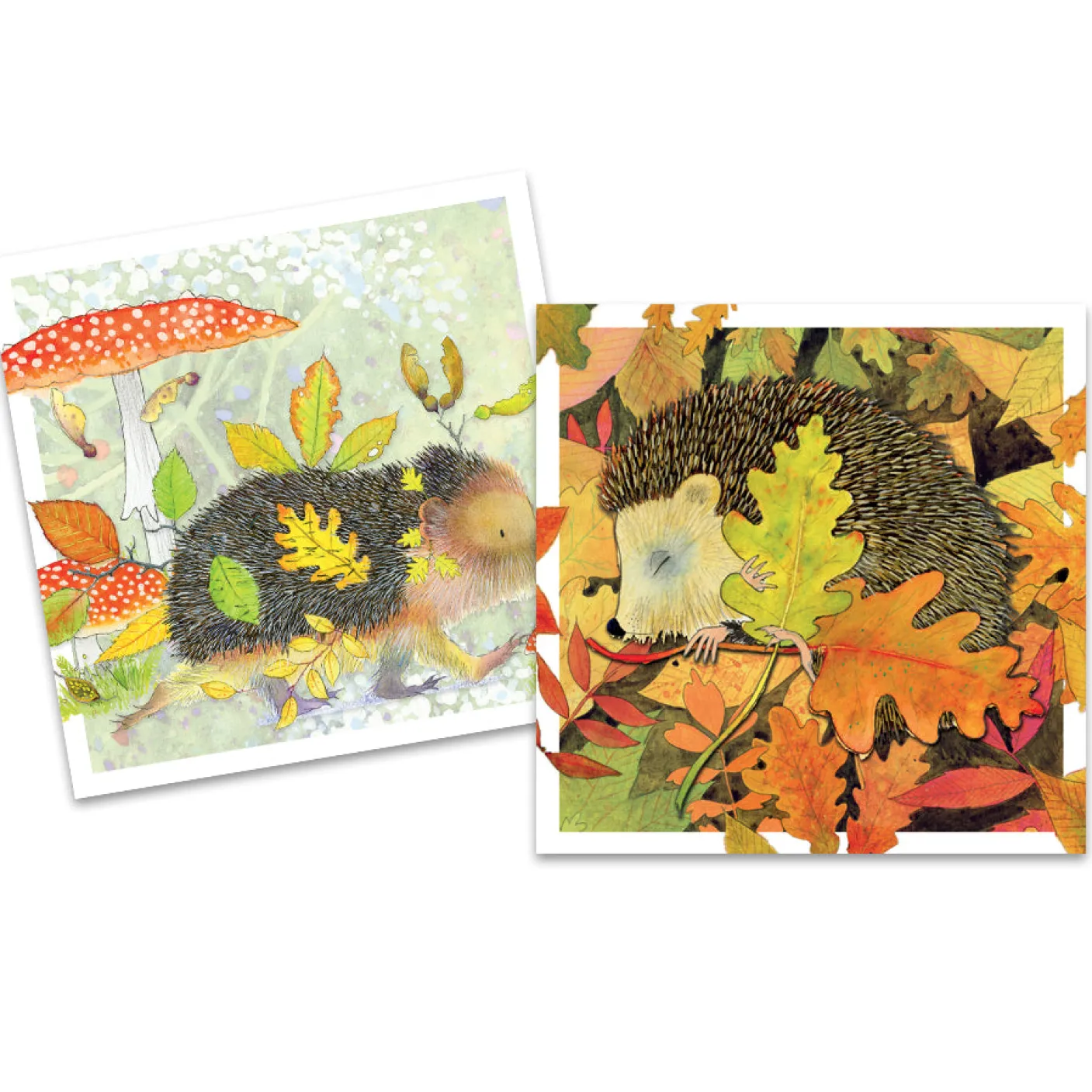 Wildlife Hedgehogs Pack of 10 Mini Notecards