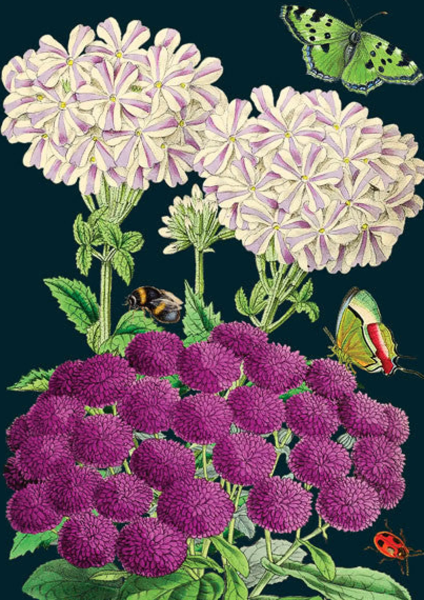 Purples Greetings Card