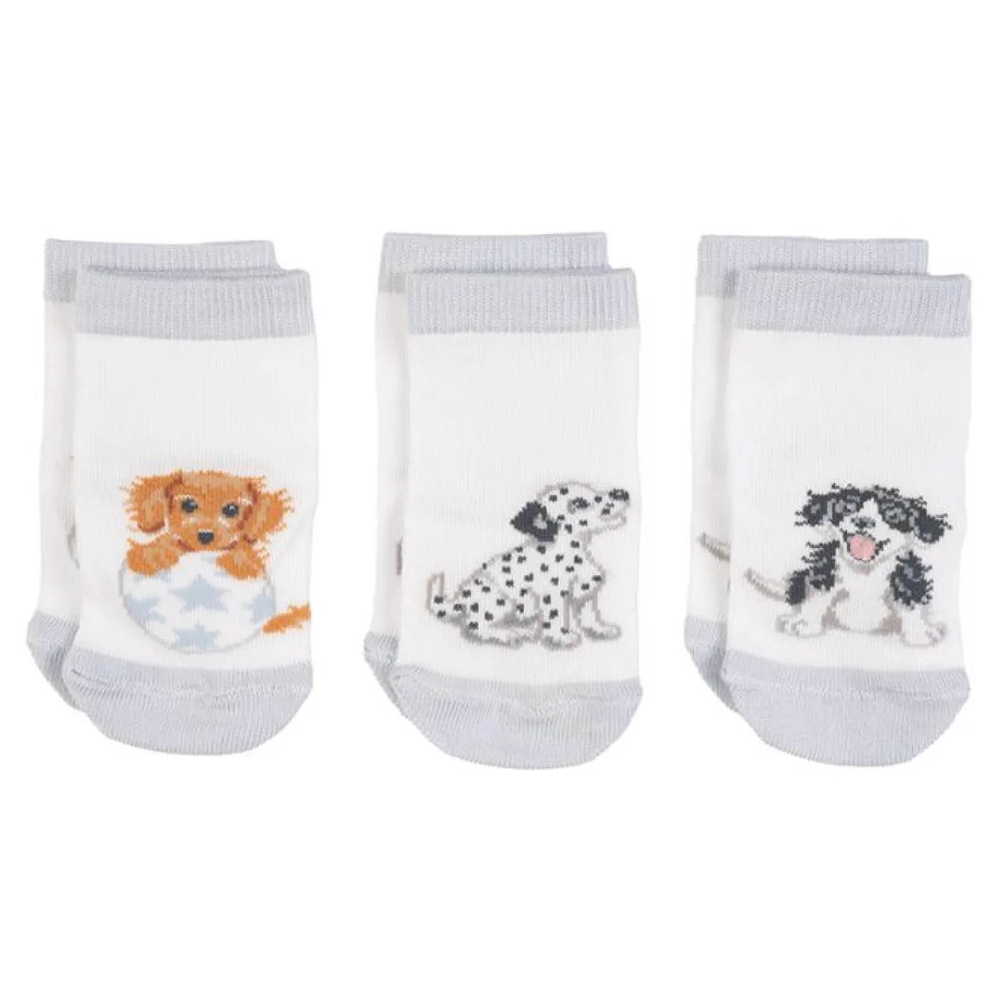 'Little Paws' Dog Baby Socks Set