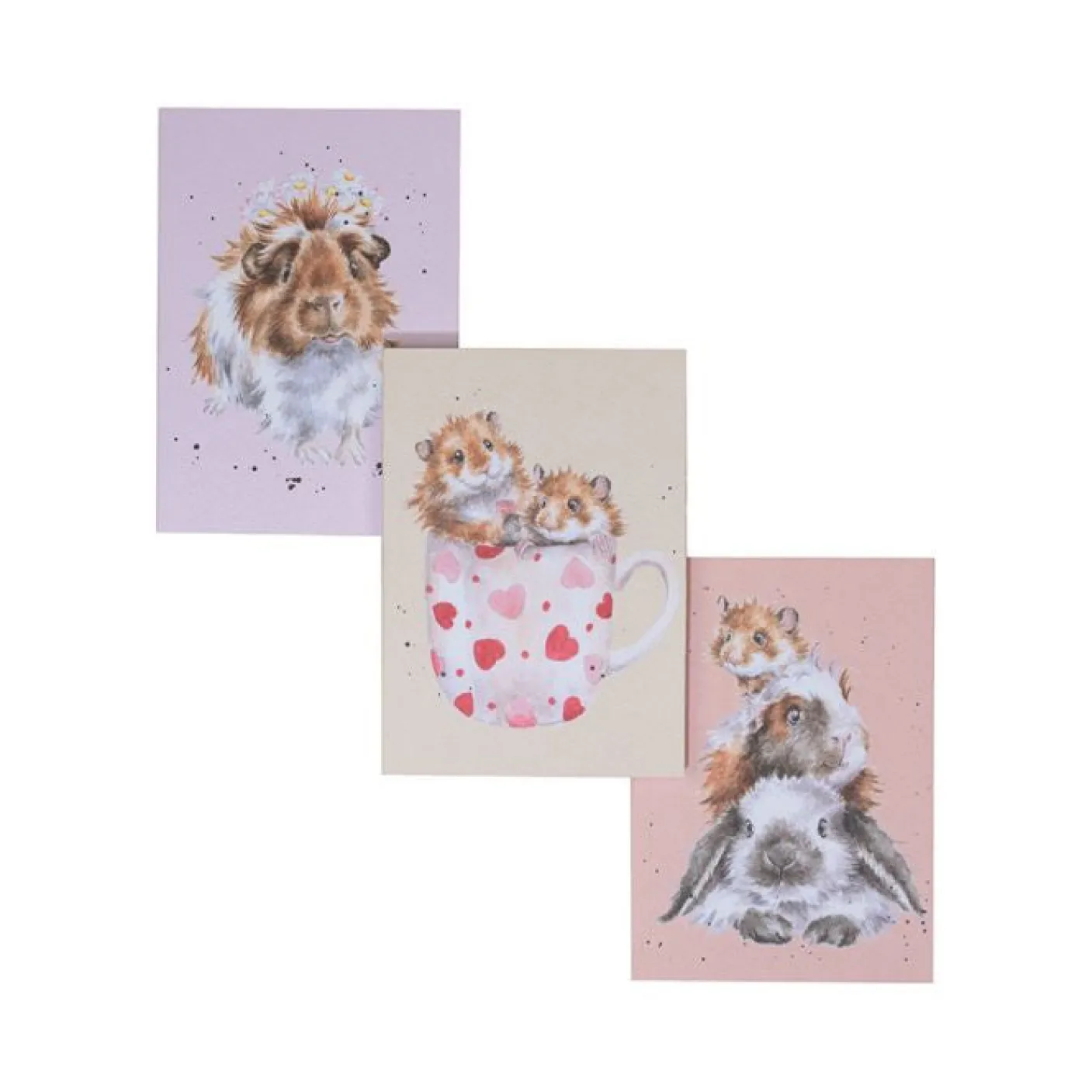 Whiskers & Paws - Set of 3 Notebooks