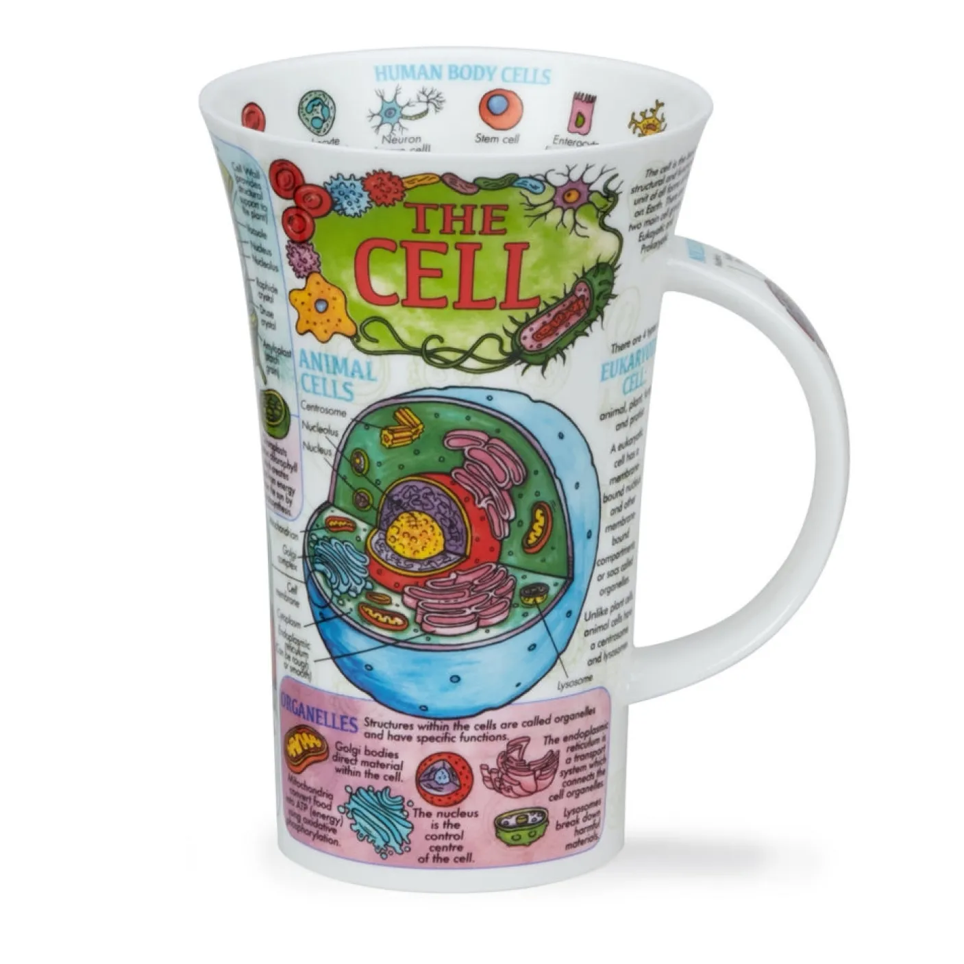 Glencoe The Cell Mug